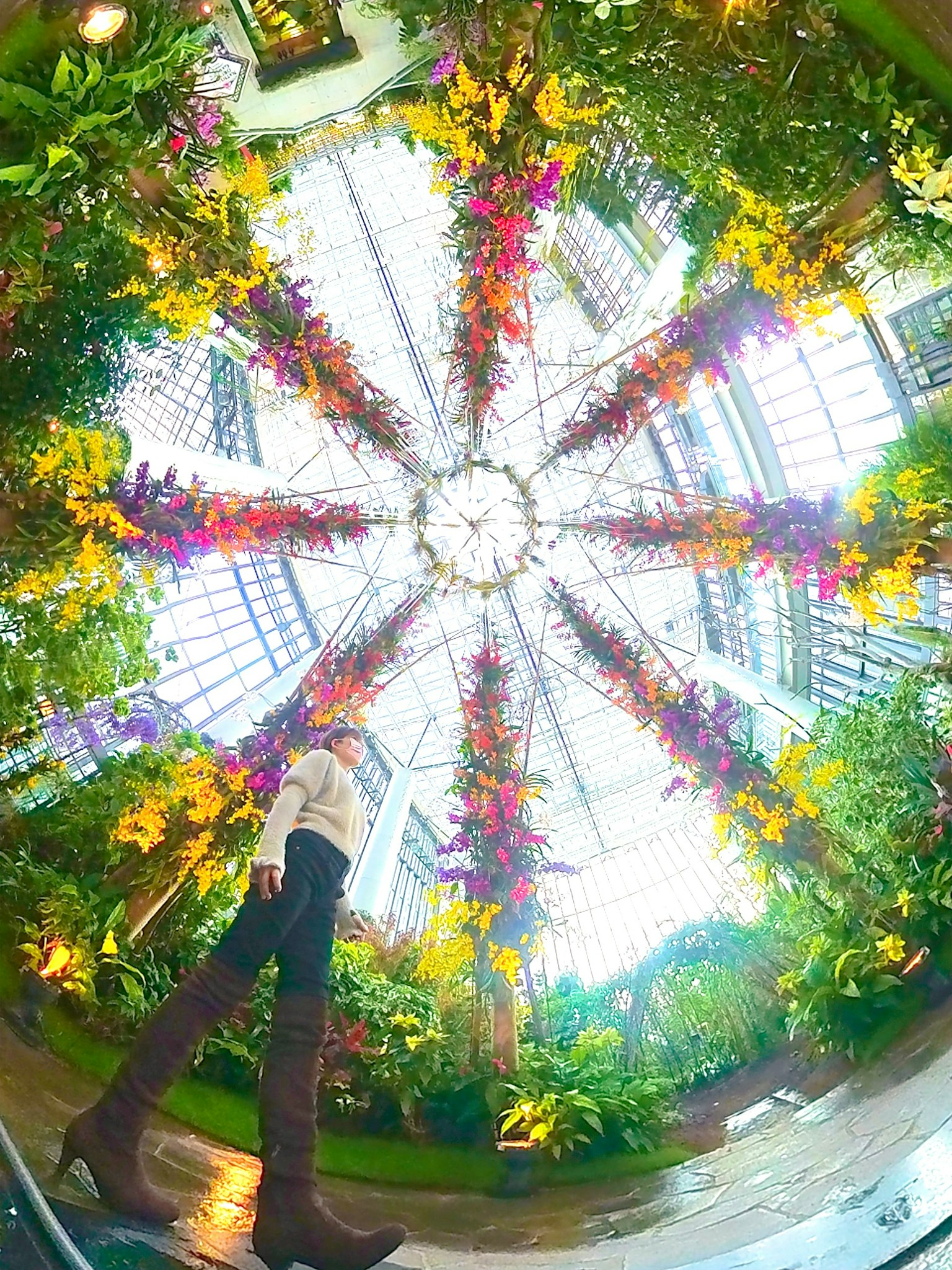 Intérieur d'une serre décorée de belles fleurs et d'un grand plafond en verre