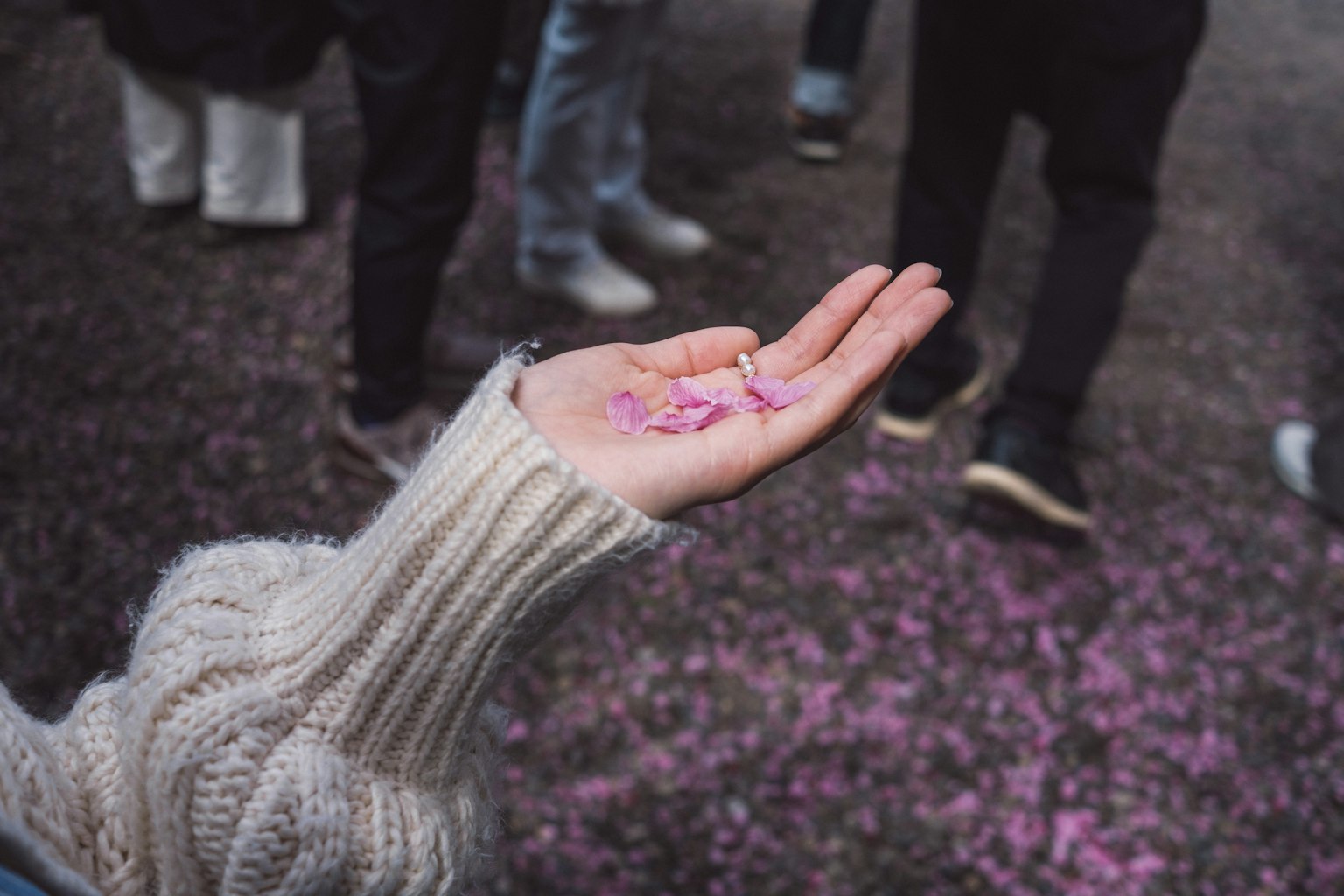 Mano che tiene petali di fiori rosa sparsi con persone sullo sfondo