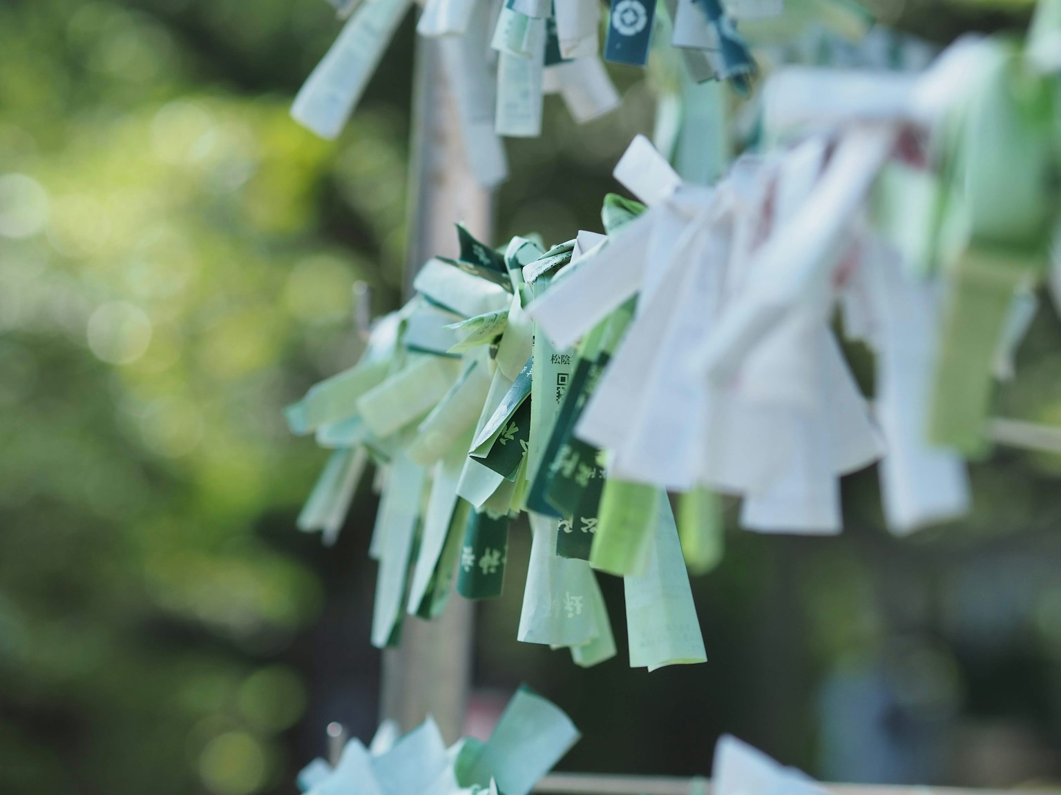 Colorful strips of paper hanging from a tree branch
