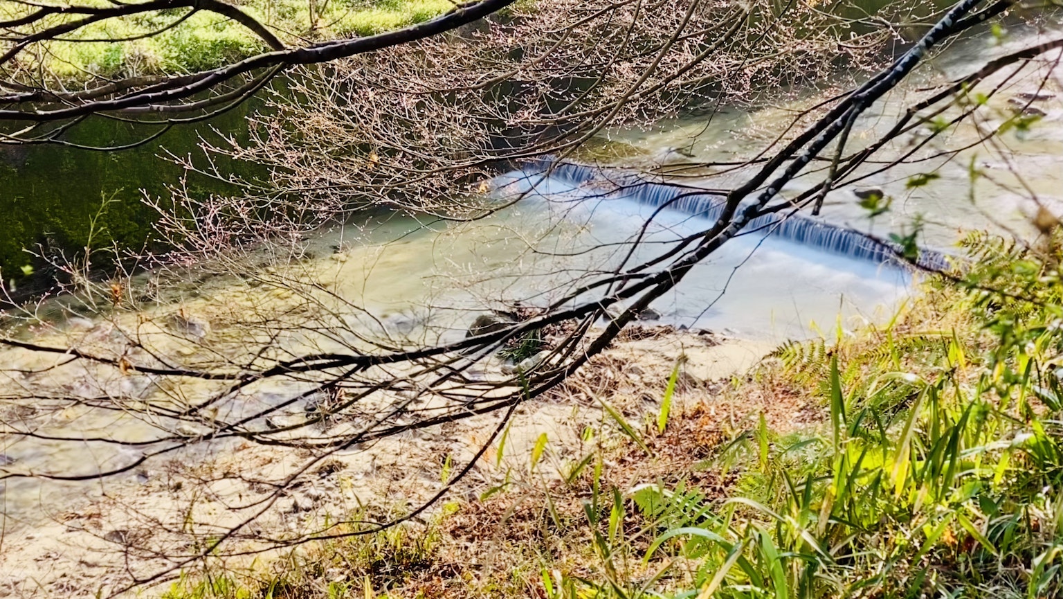 Un paesaggio con un fiume che scorre e rami d'albero spogli