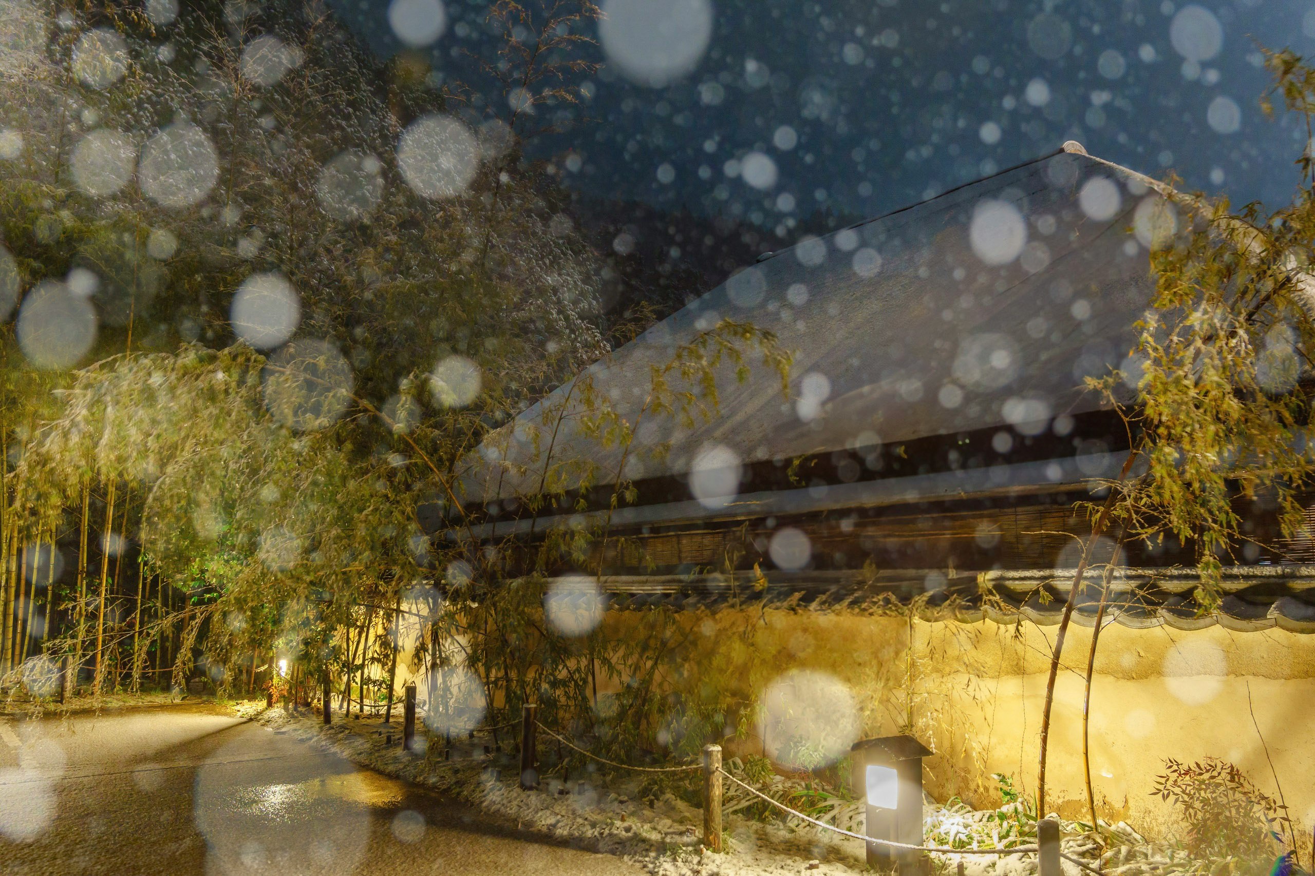 雪が降る竹林の小道と灯りのある路地