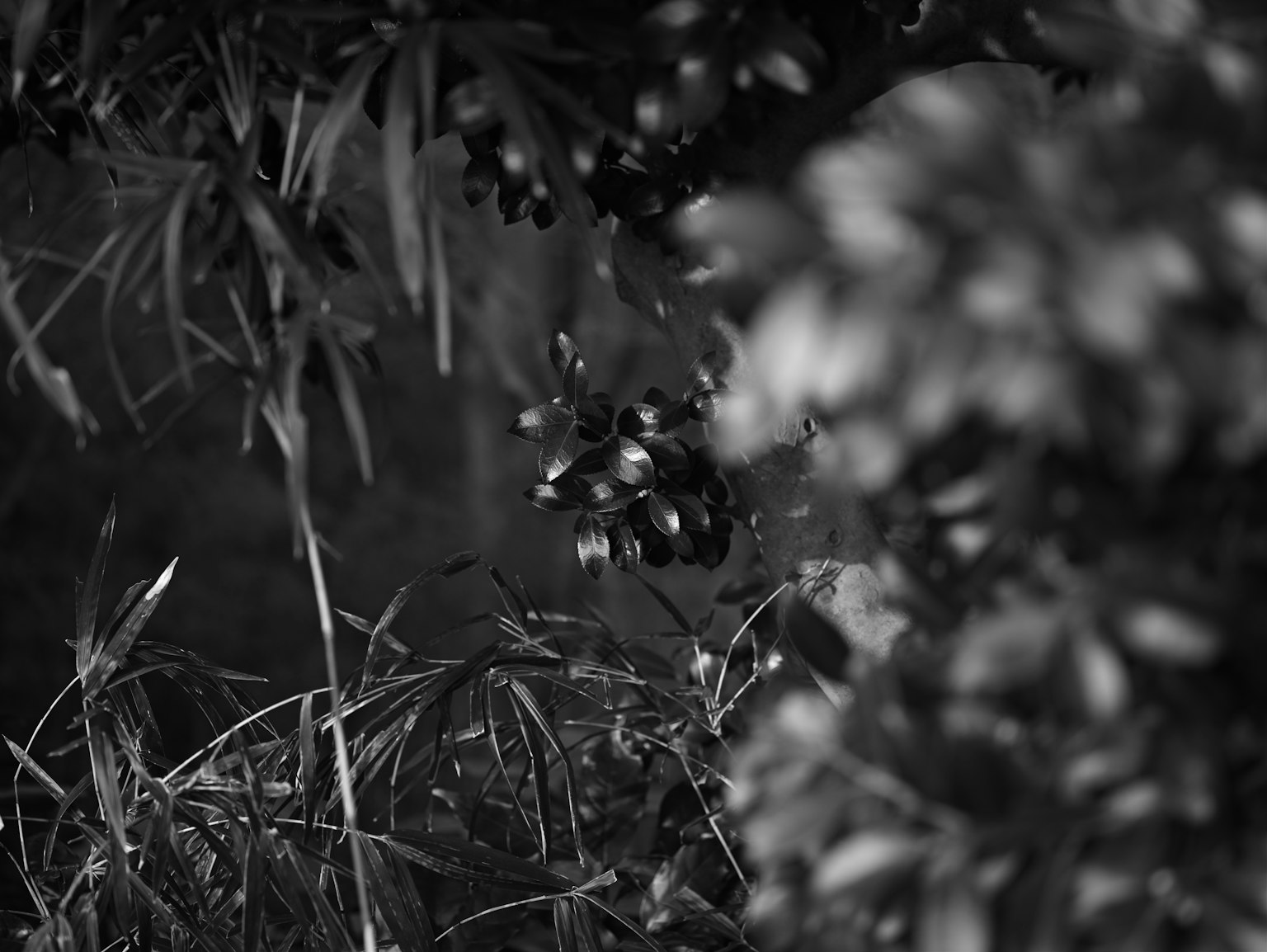photo-OwiwCnvTrvfCnYVxR5Kd-image