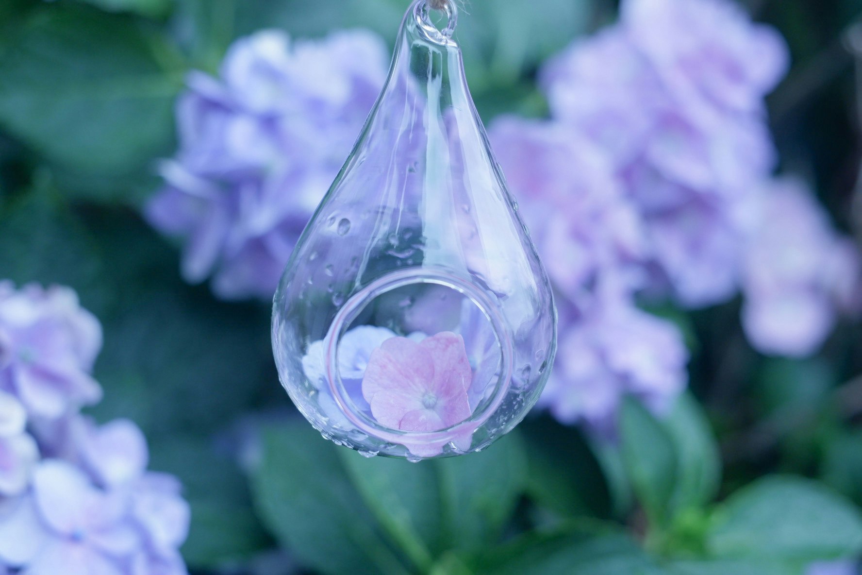 紫の花の庭で揺れる透明なガラスの水滴オーナメント