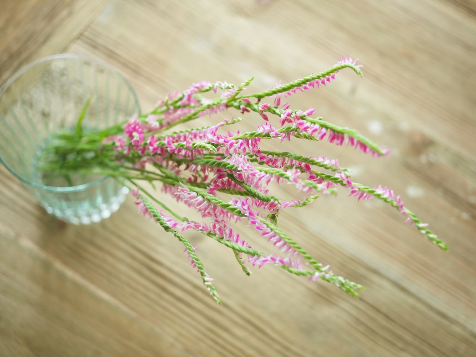 Fiori rosa in un vaso di vetro trasparente su un tavolo di legno