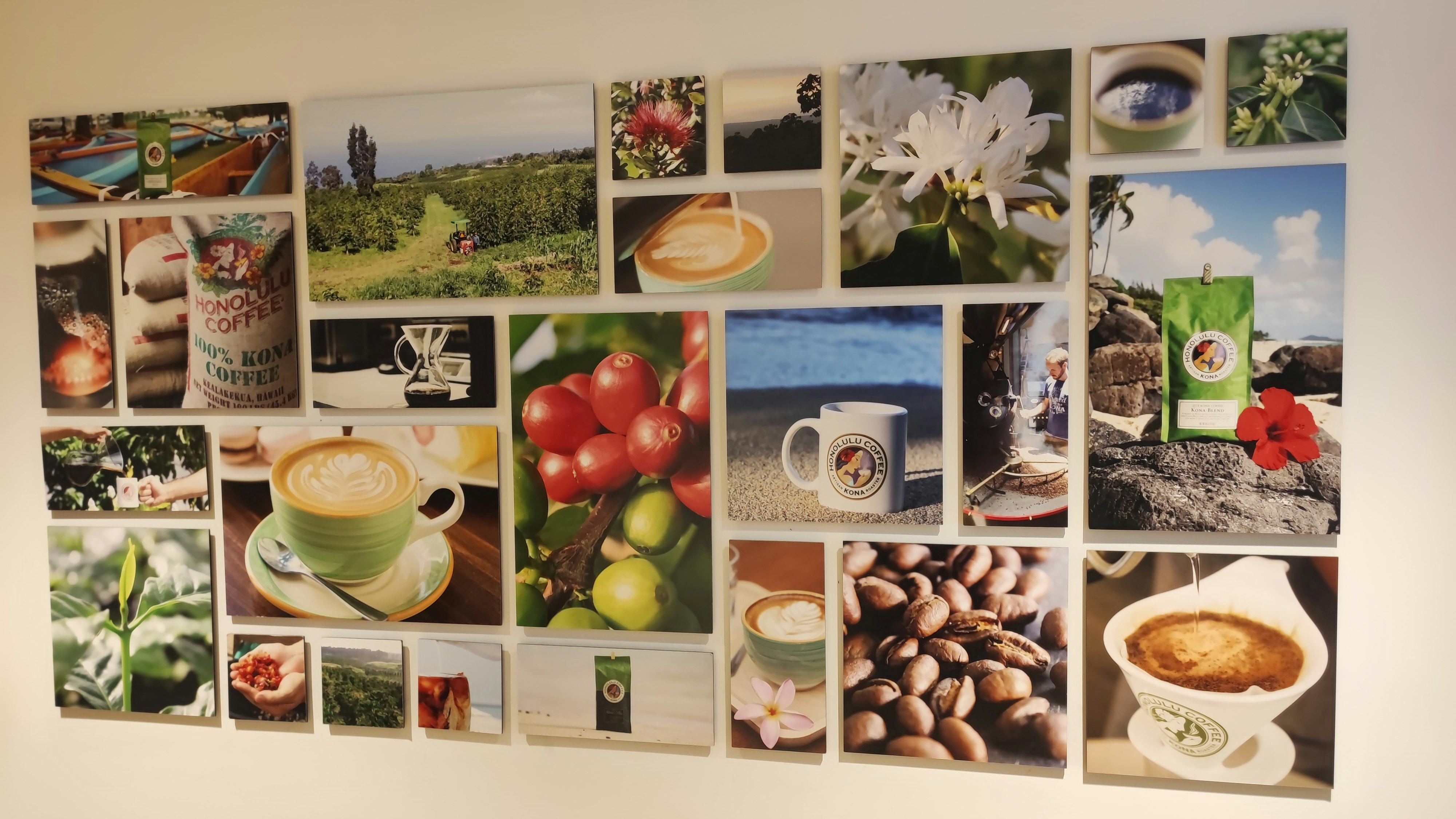 コーヒーや食材の写真コラージュ