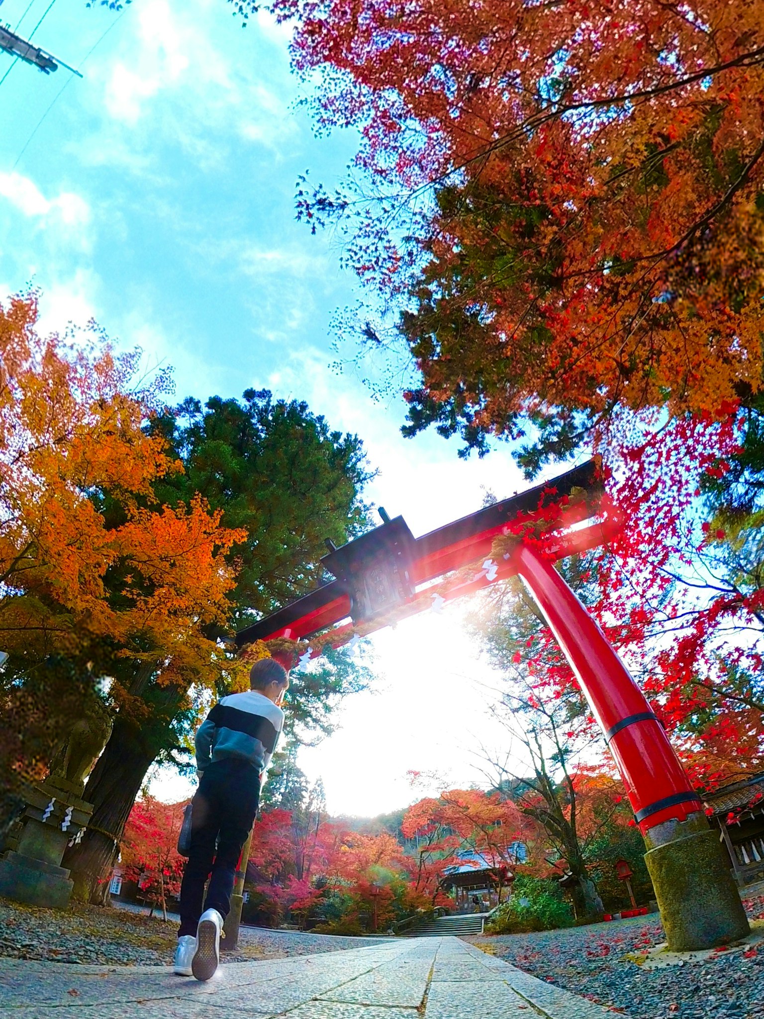 Persona caminando bajo una puerta torii roja rodeada de follaje otoñal