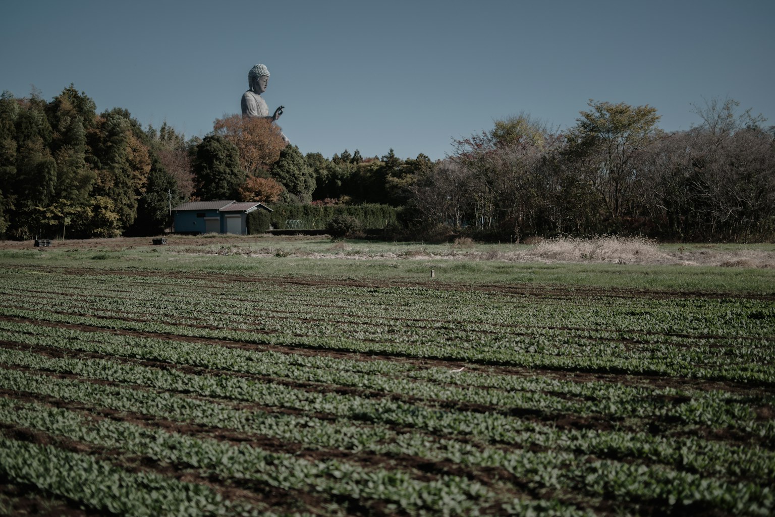 Vast fields with rows of crops and a large statue in the background