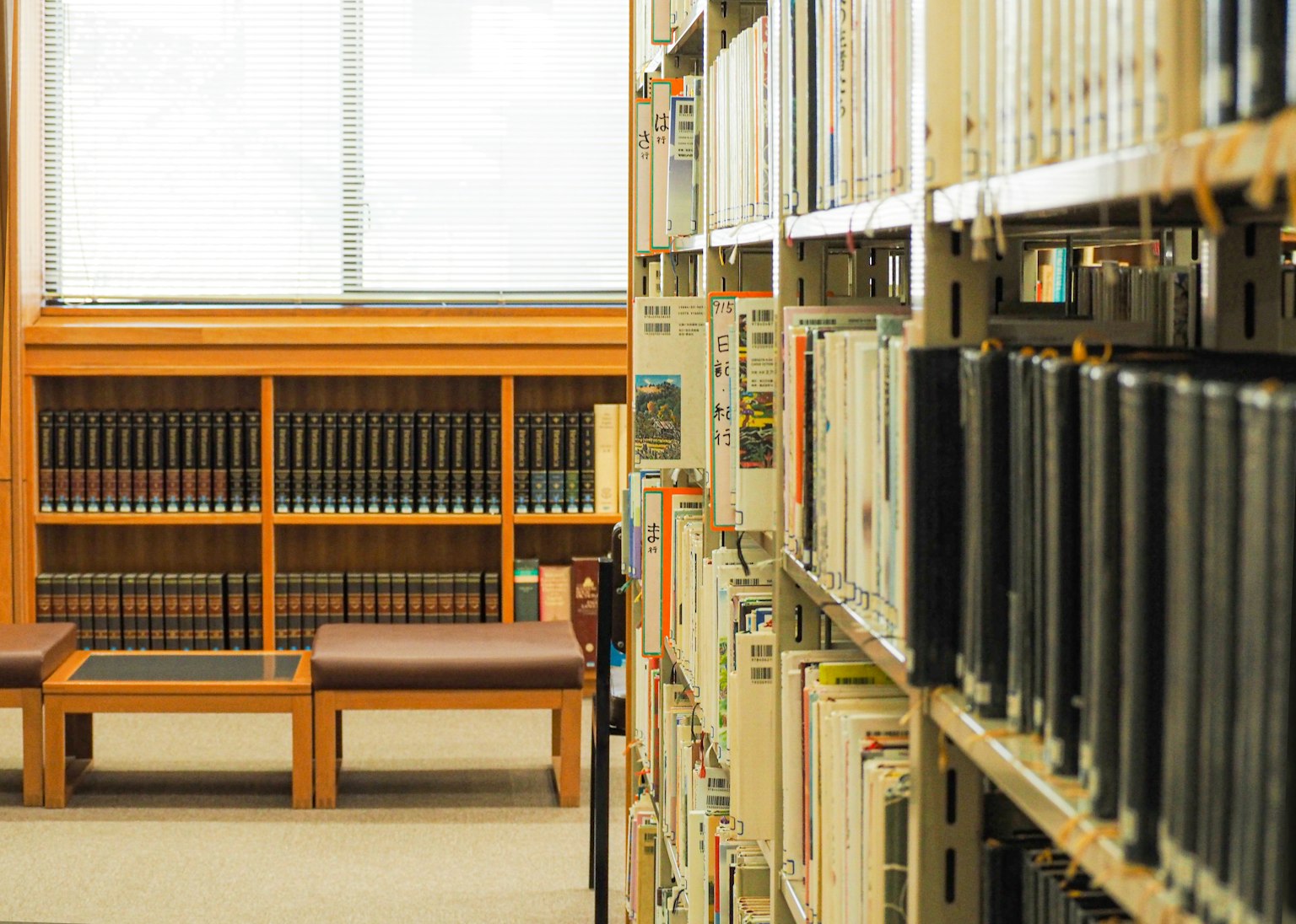 Espace de bibliothèque calme avec des étagères et un banc en bois