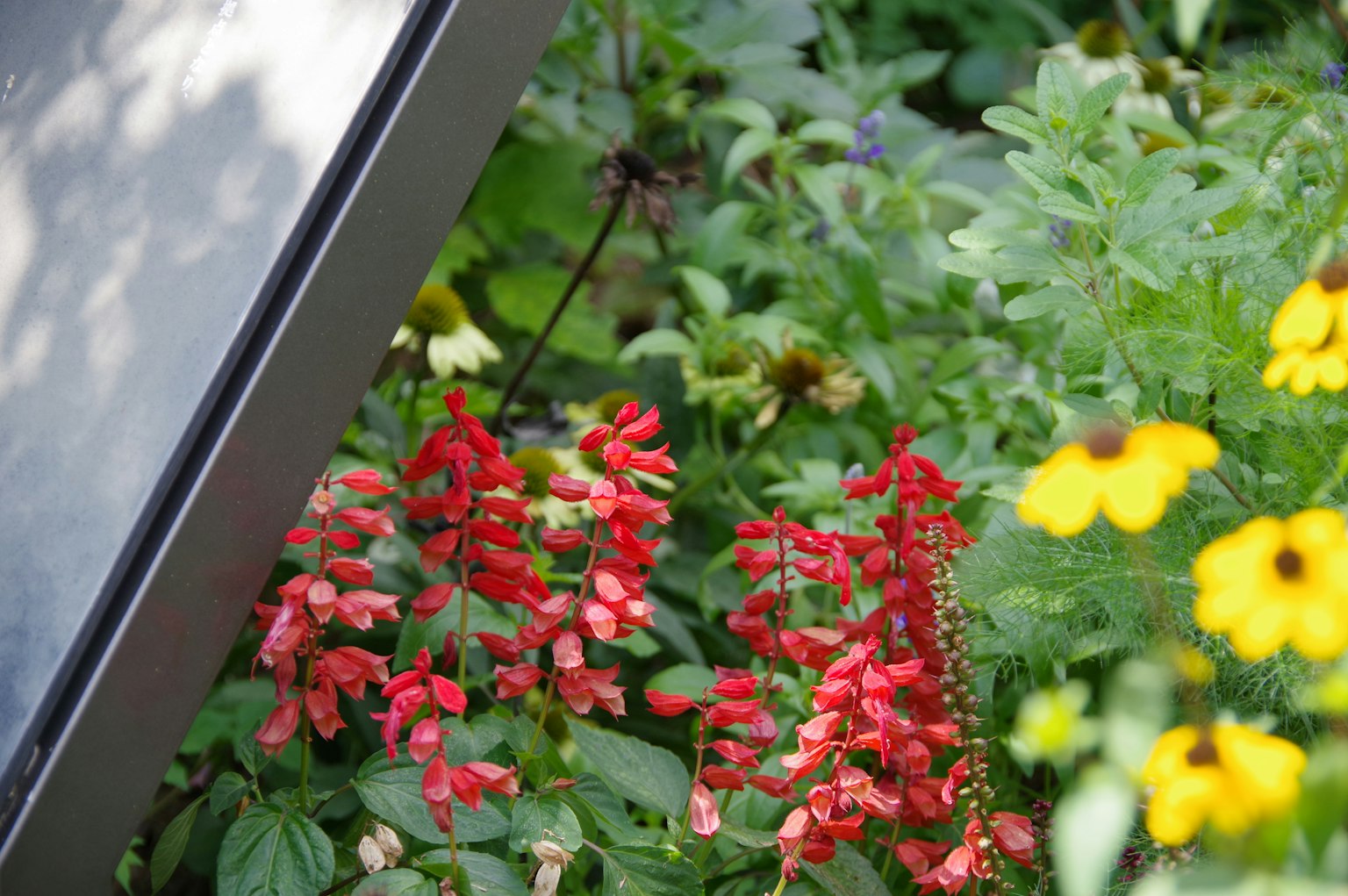 Una sección de un jardín con flores rojas y amarillas
