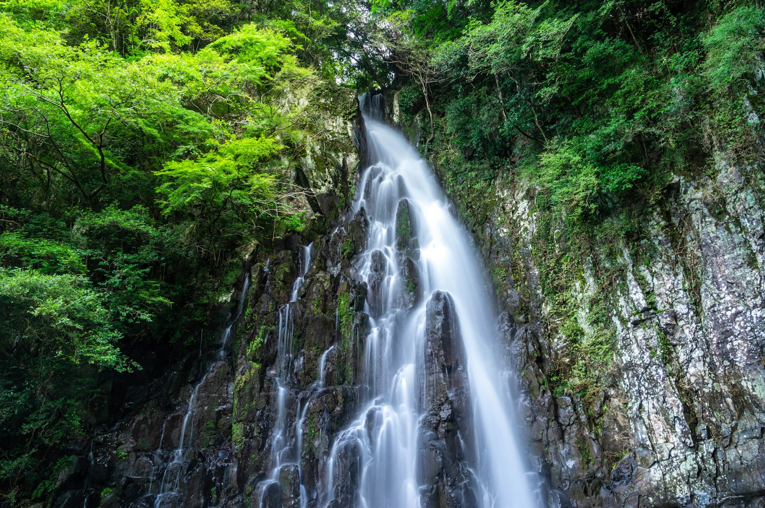Una bellissima cascata circondata da una foresta verdeggiante