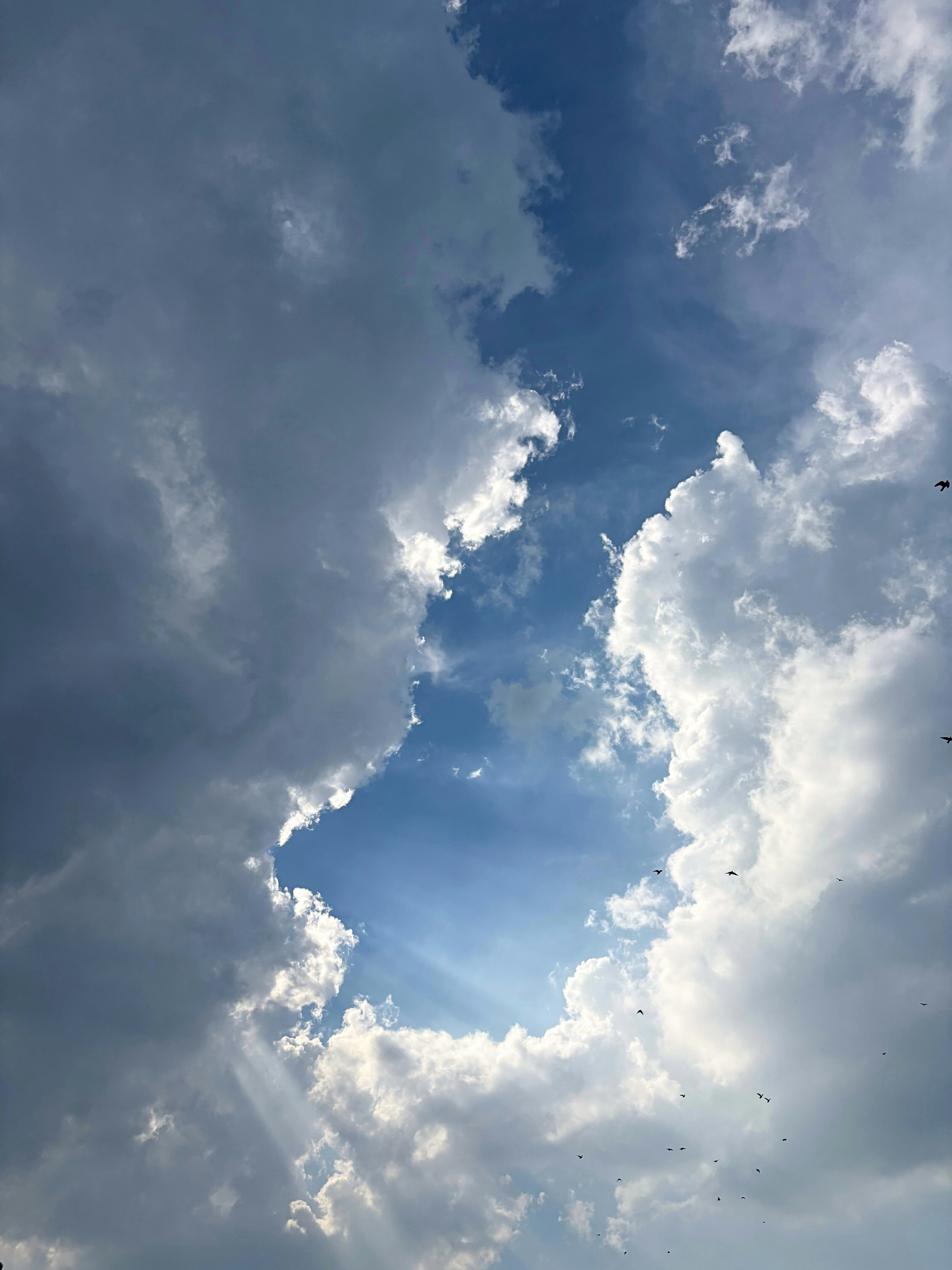 青空に浮かぶ雲と光のきらめく空