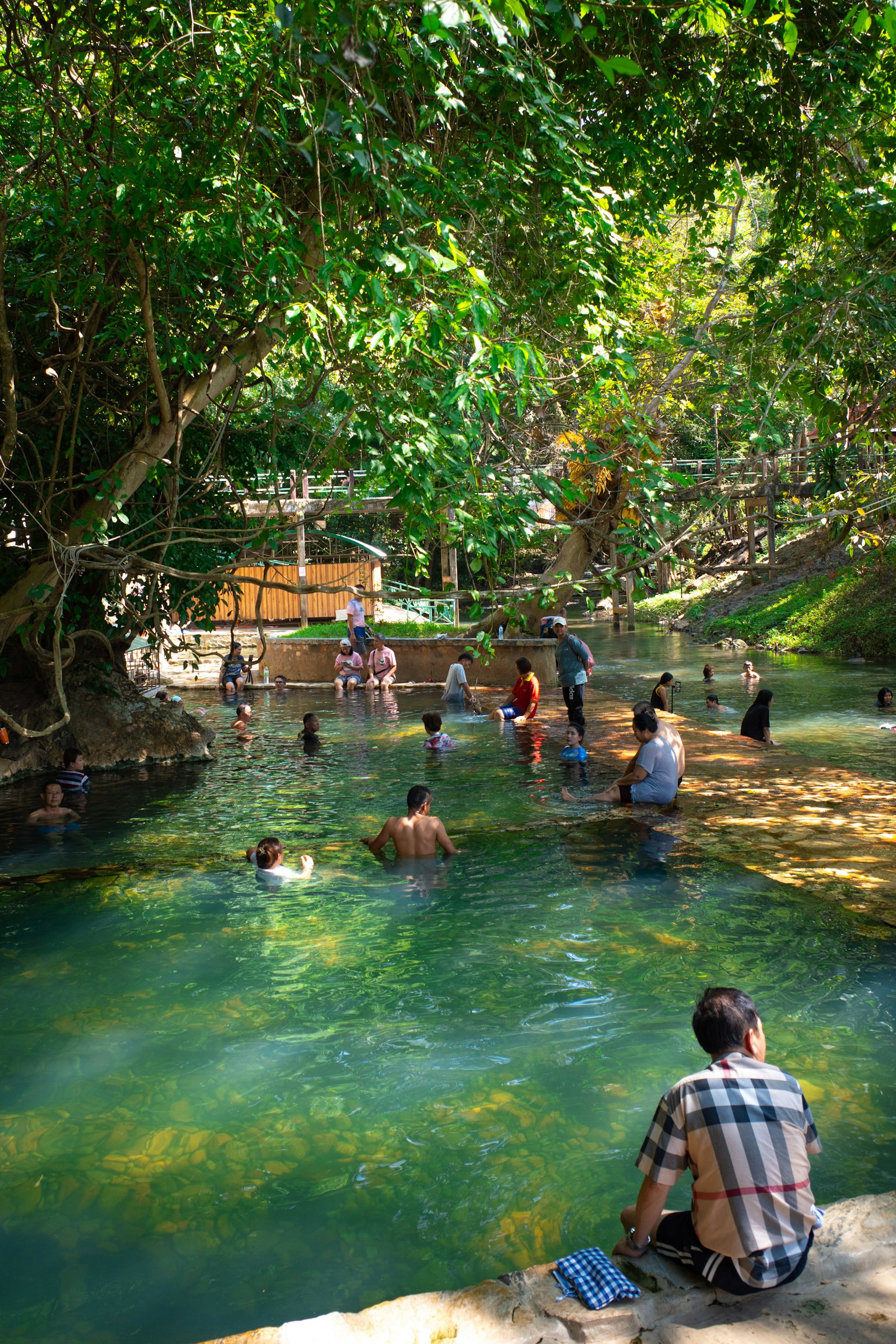 Lush scene of people enjoying a natural water area