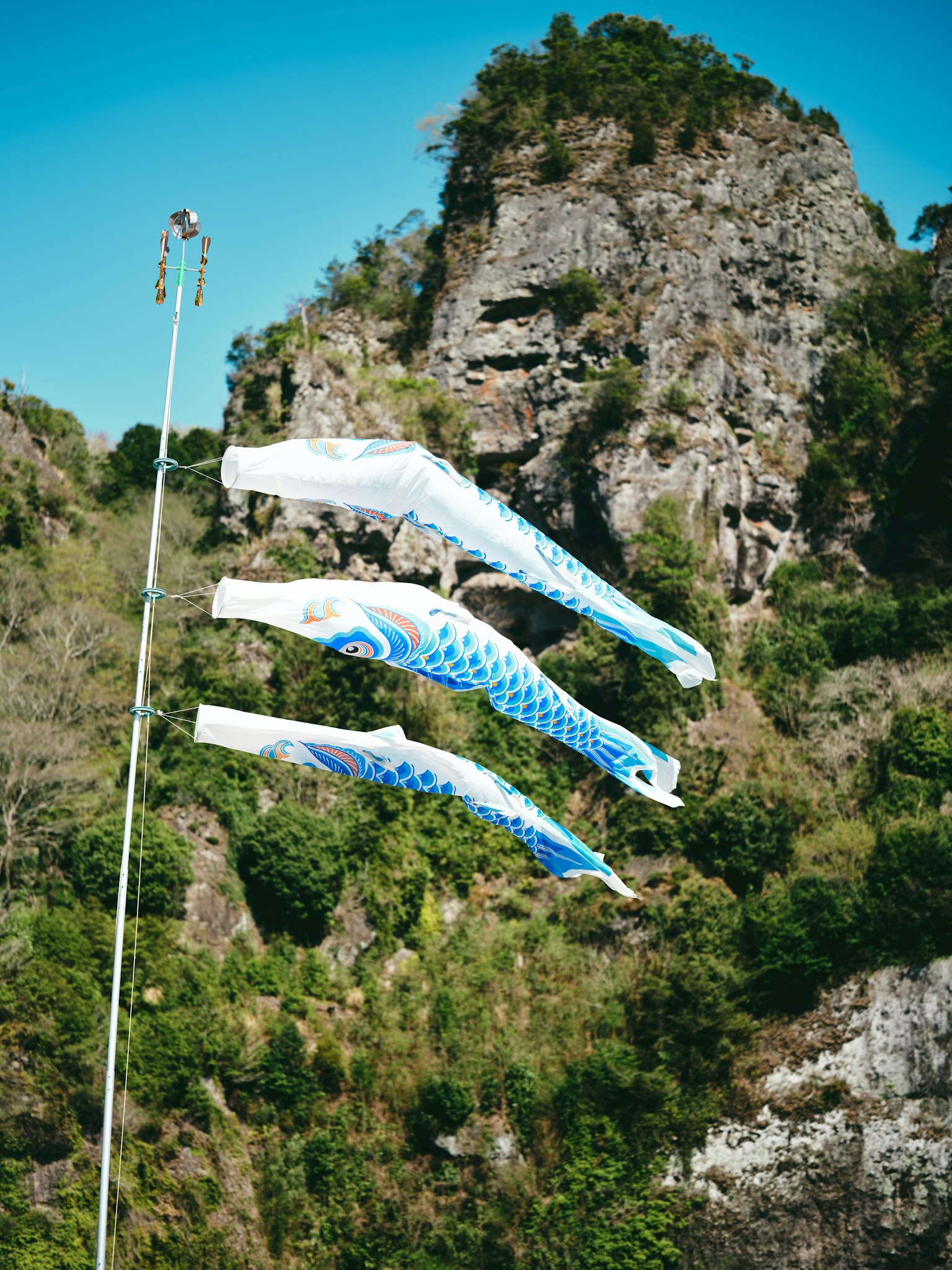 Koinobori flying against a mountainous backdrop
