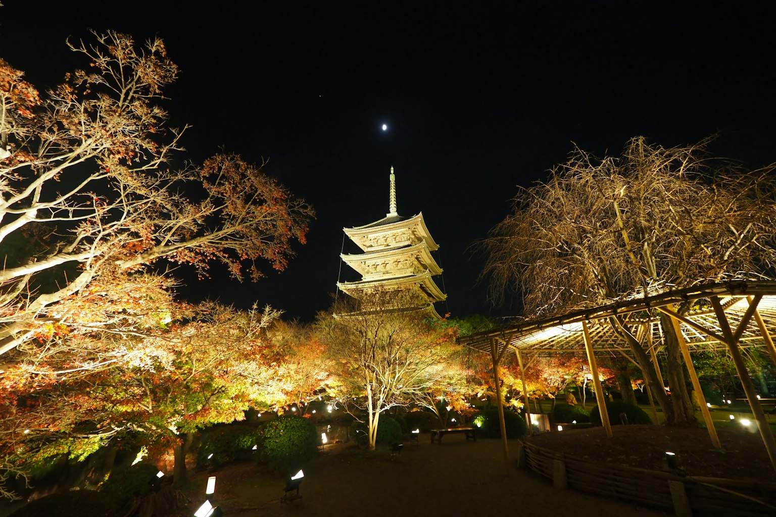 Illuminated five-story pagoda surrounded by autumn foliage at night