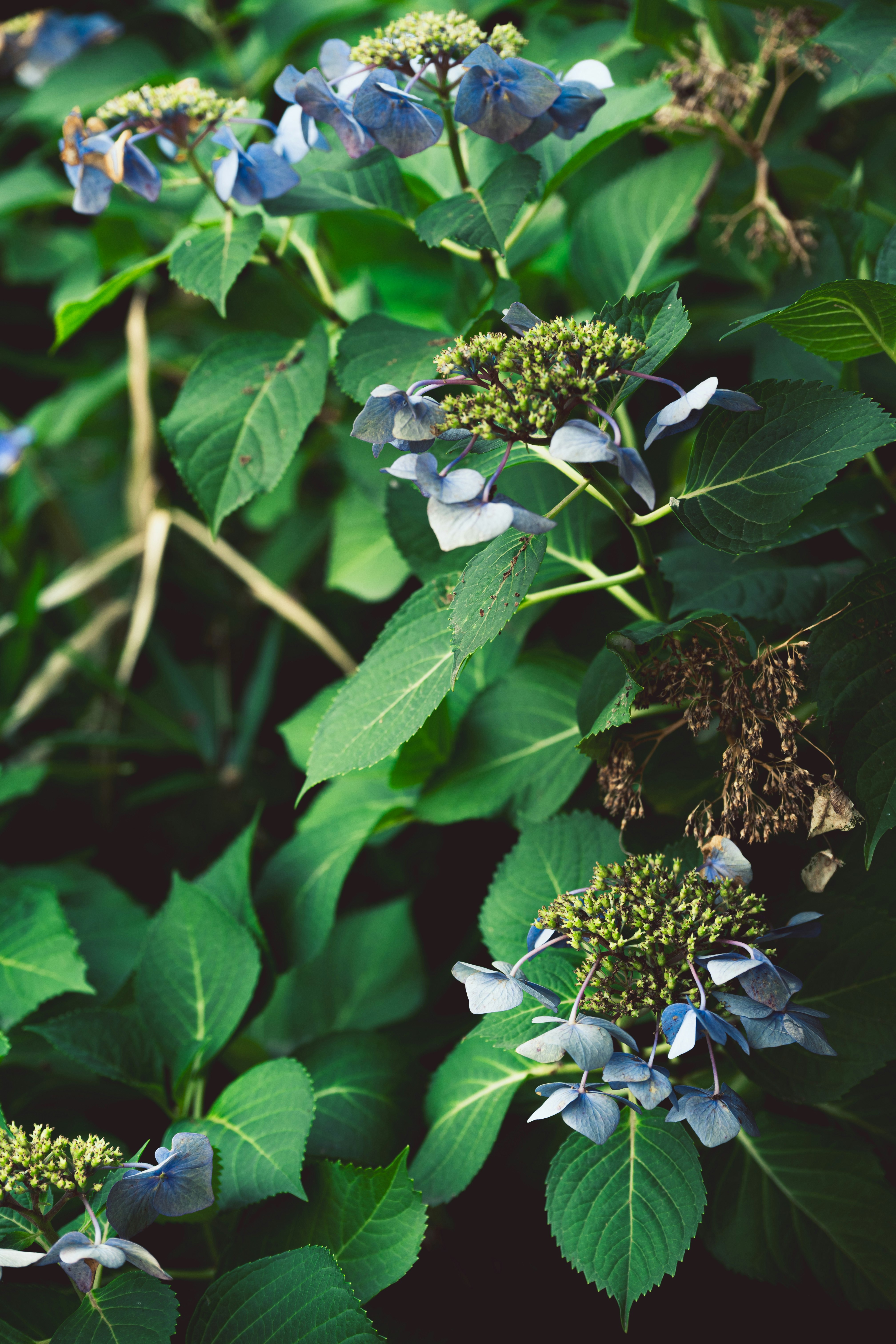 photo-P0uBCI1j7ujXWuo2dvPF