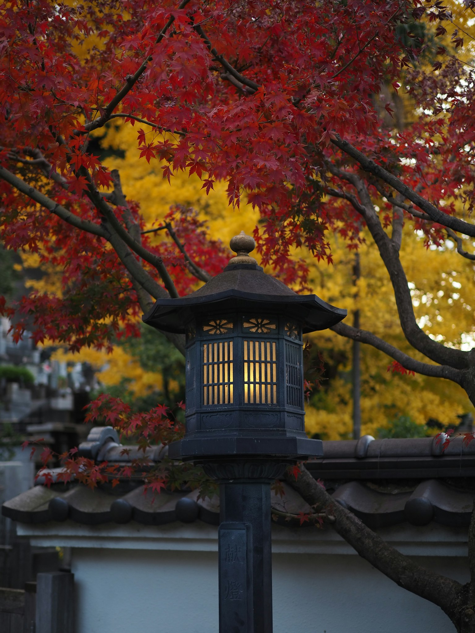 被鮮豔的紅色和黃色秋葉環繞的日本燈籠