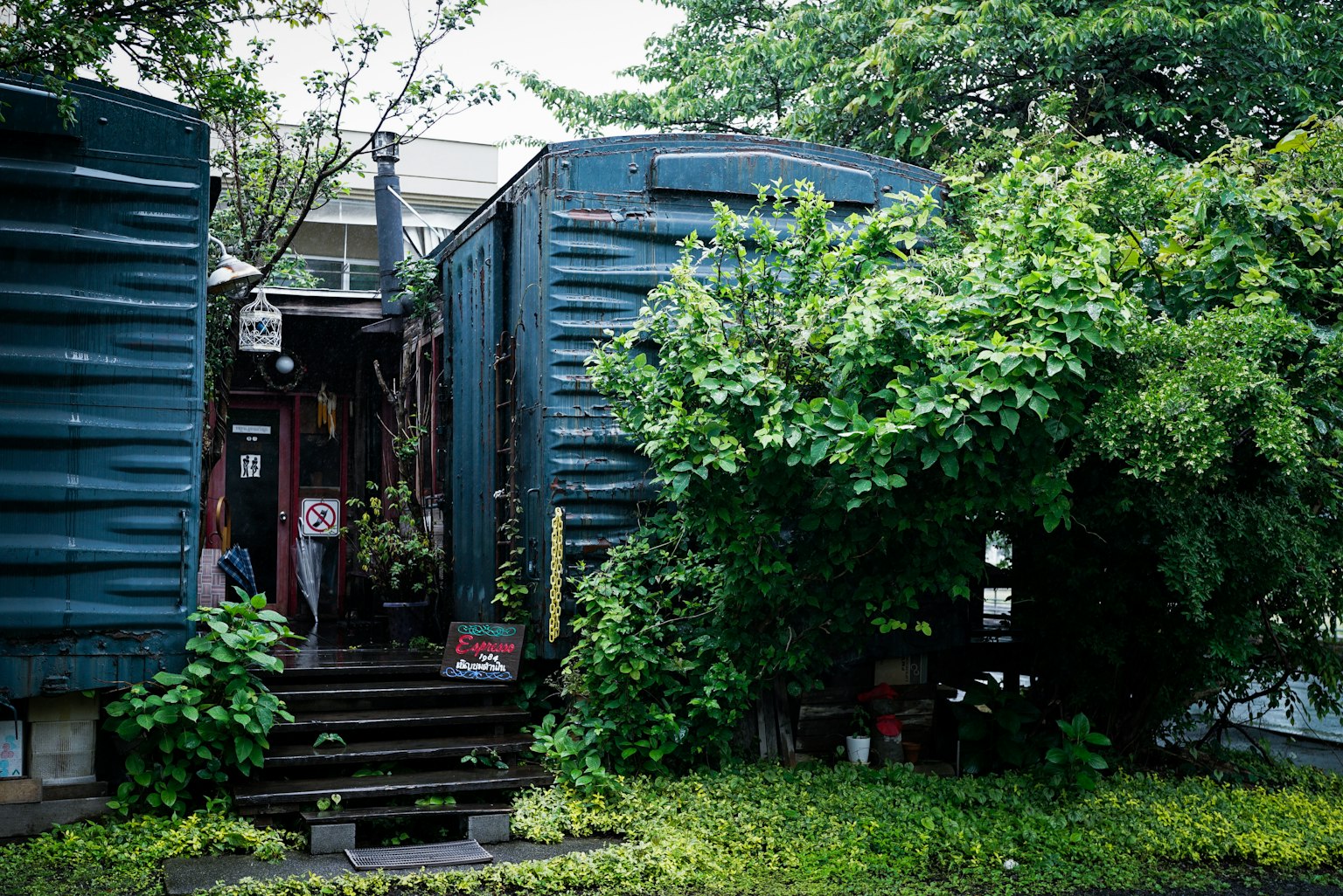 Entrée d'une maison conteneur bleue entourée de verdure