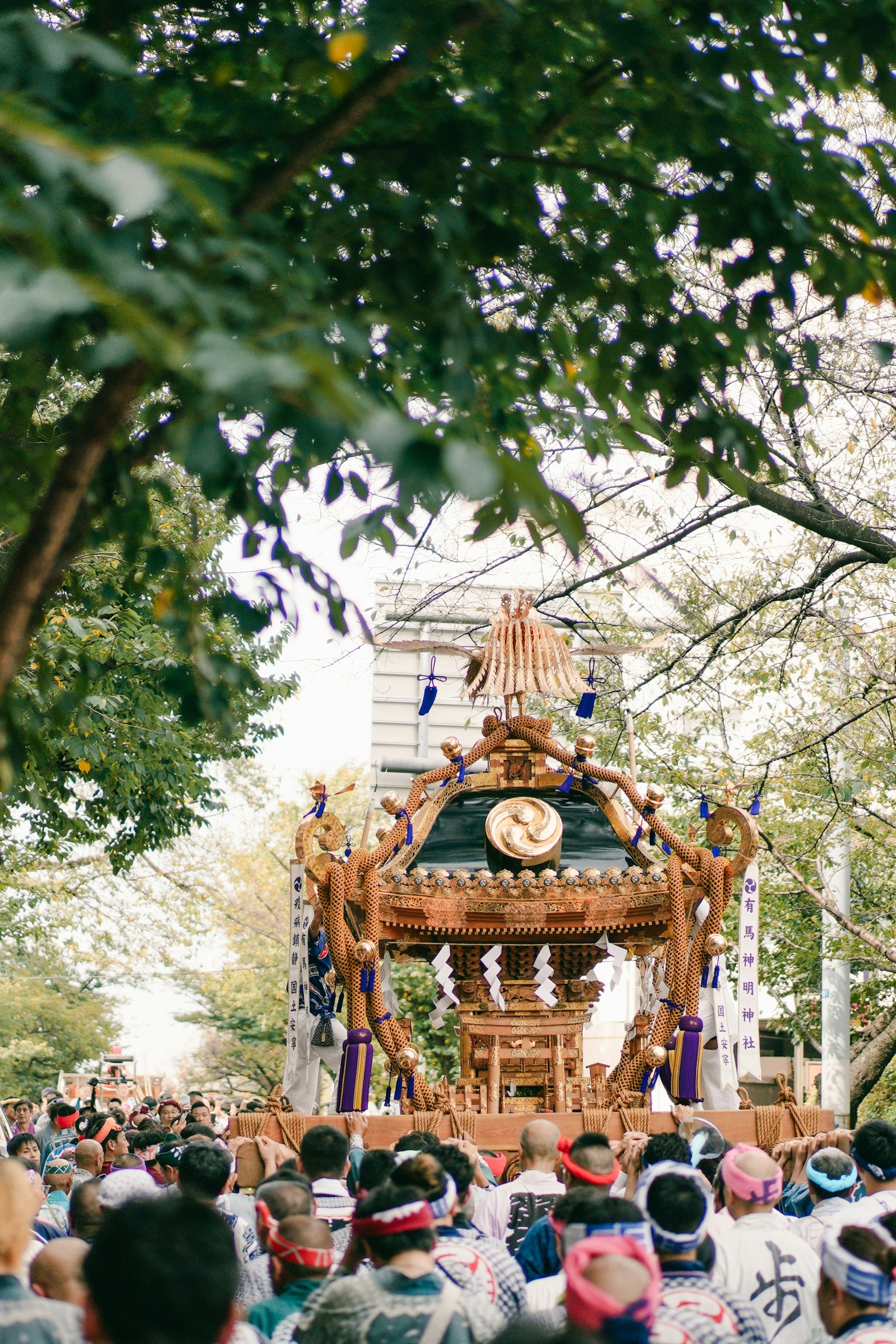 Crowd gathered around a traditional mikoshi surrounded by green trees