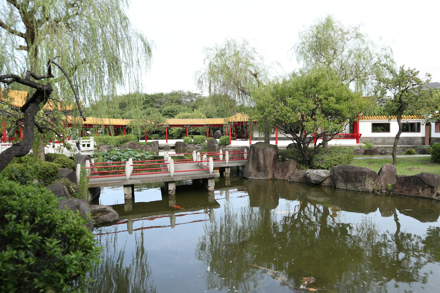 Paesaggio da giardino sereno con un laghetto e un ponte
