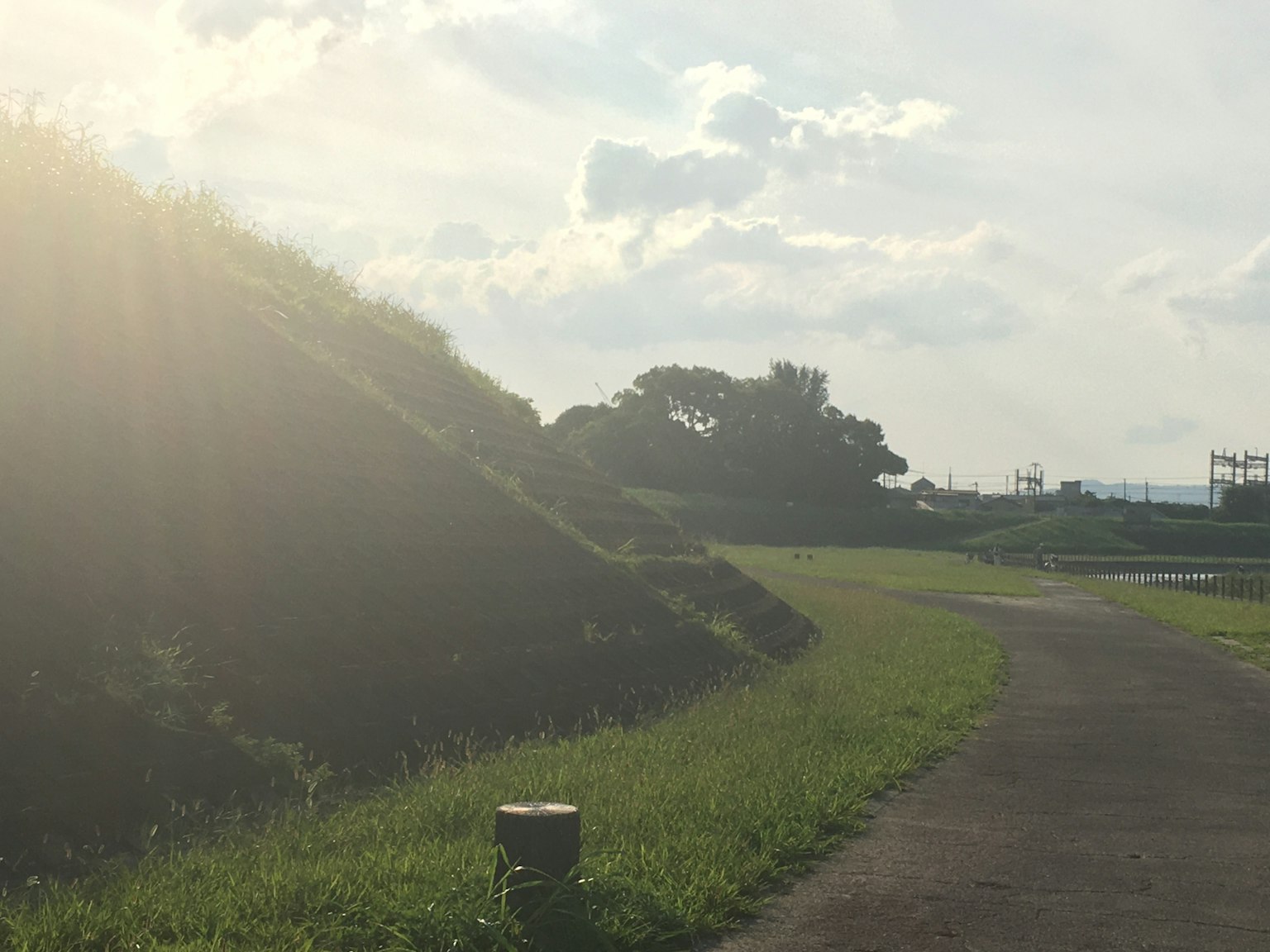 Scenic pathway with sunlight filtering through greenery