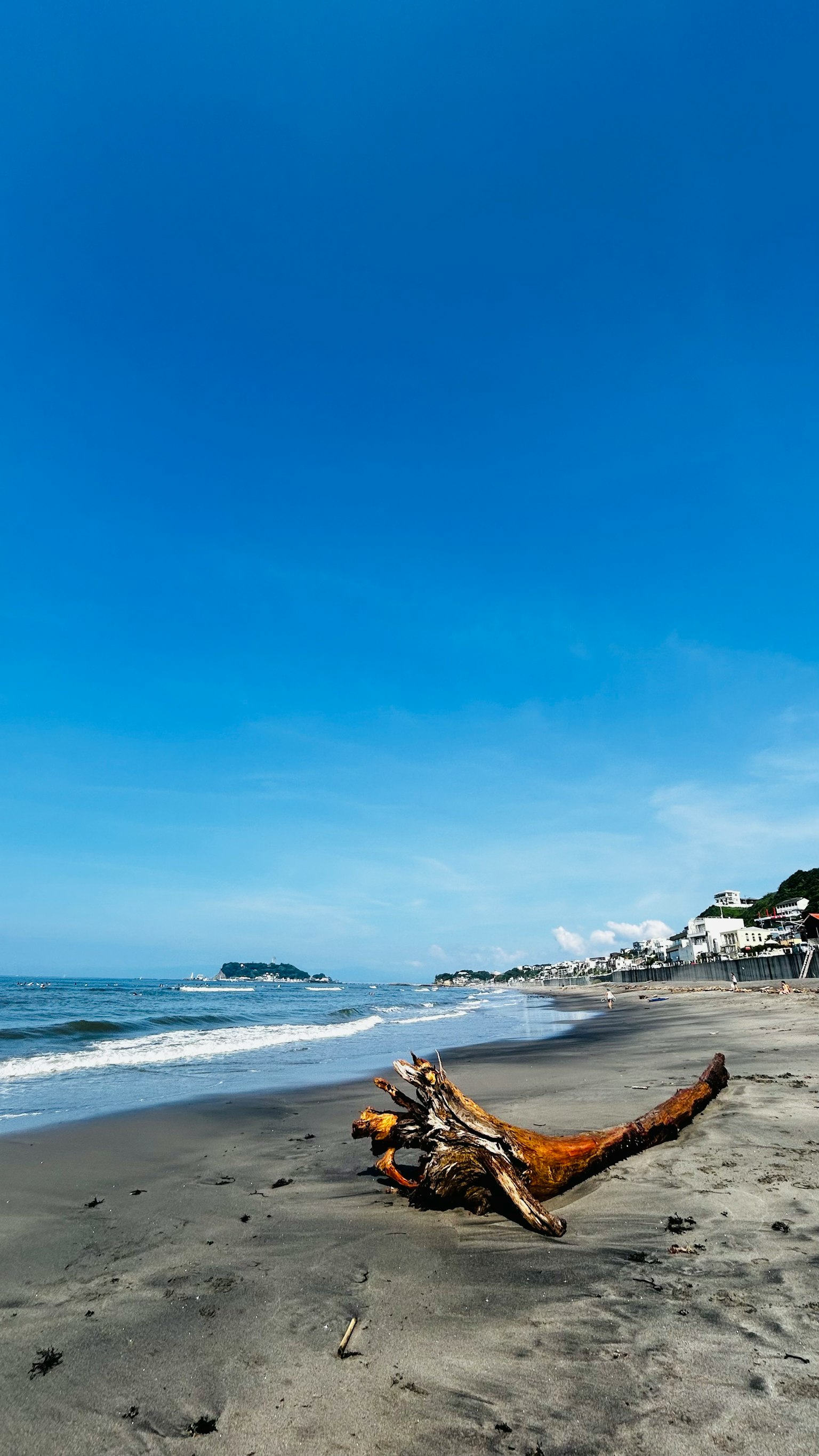 美丽的海滩景色 蓝天和海浪漂流木躺在沙滩上