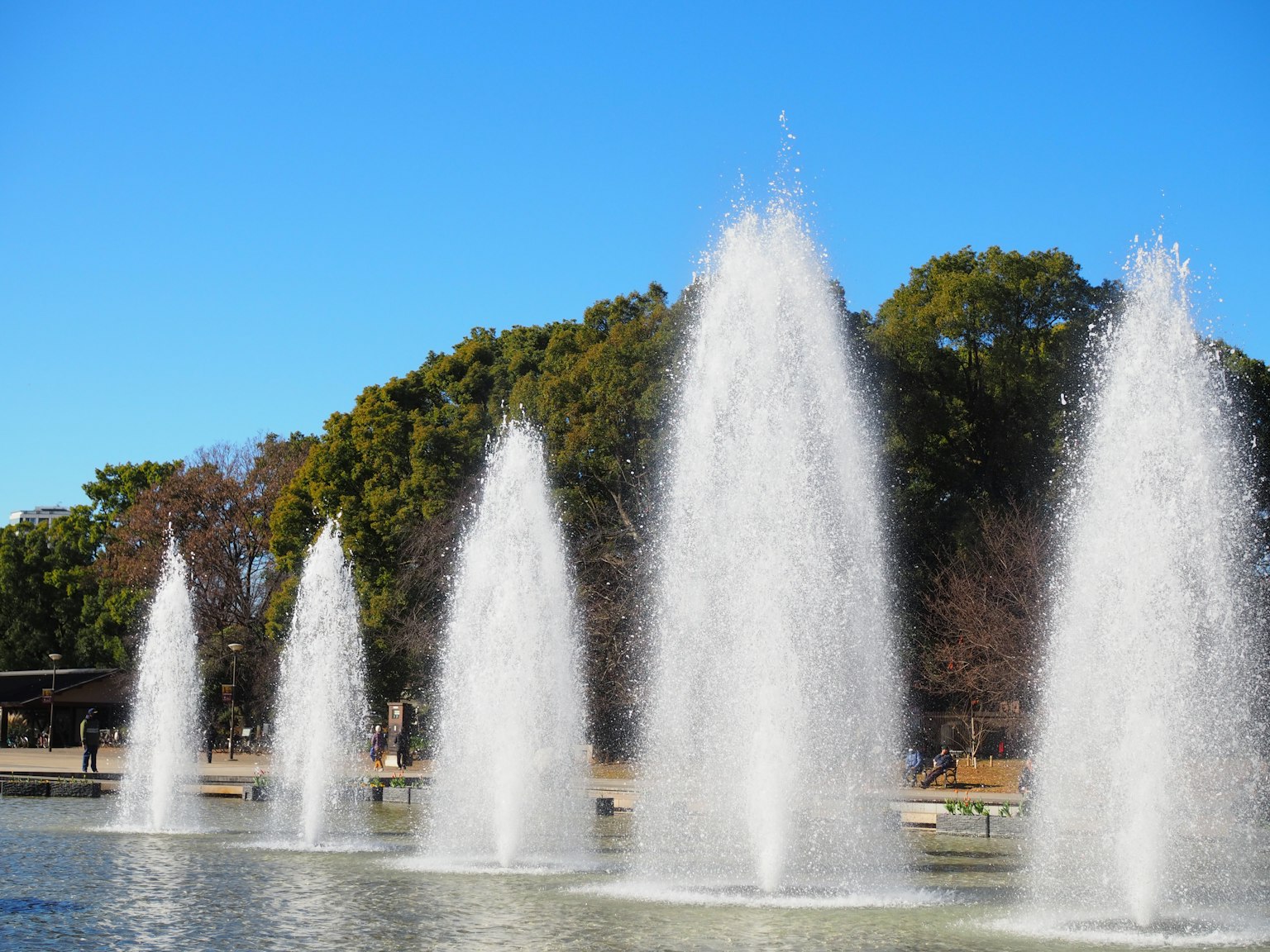 Eine Gruppe von Brunnen in einem Parkteich unter einem klaren blauen Himmel