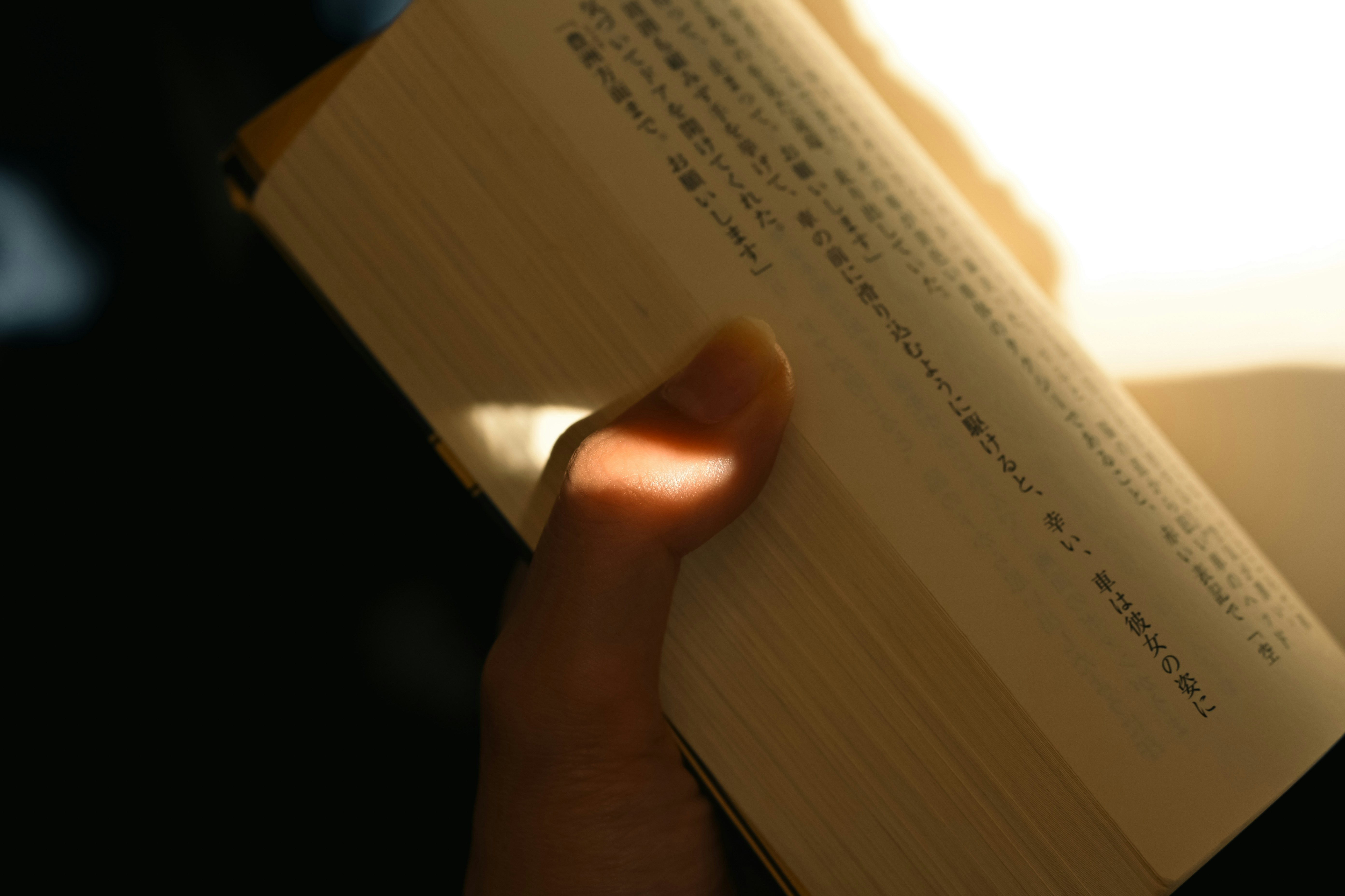 Nahaufnahme einer Hand, die ein offenes Buch hält