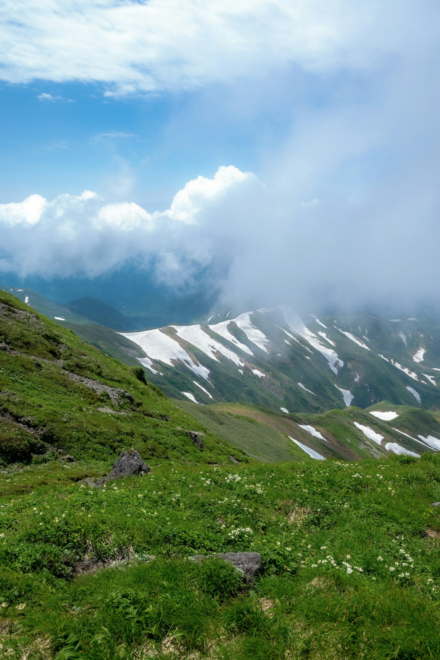 Vista panorámica de un prado verde y montañas nevadas bajo un cielo azul con nubes