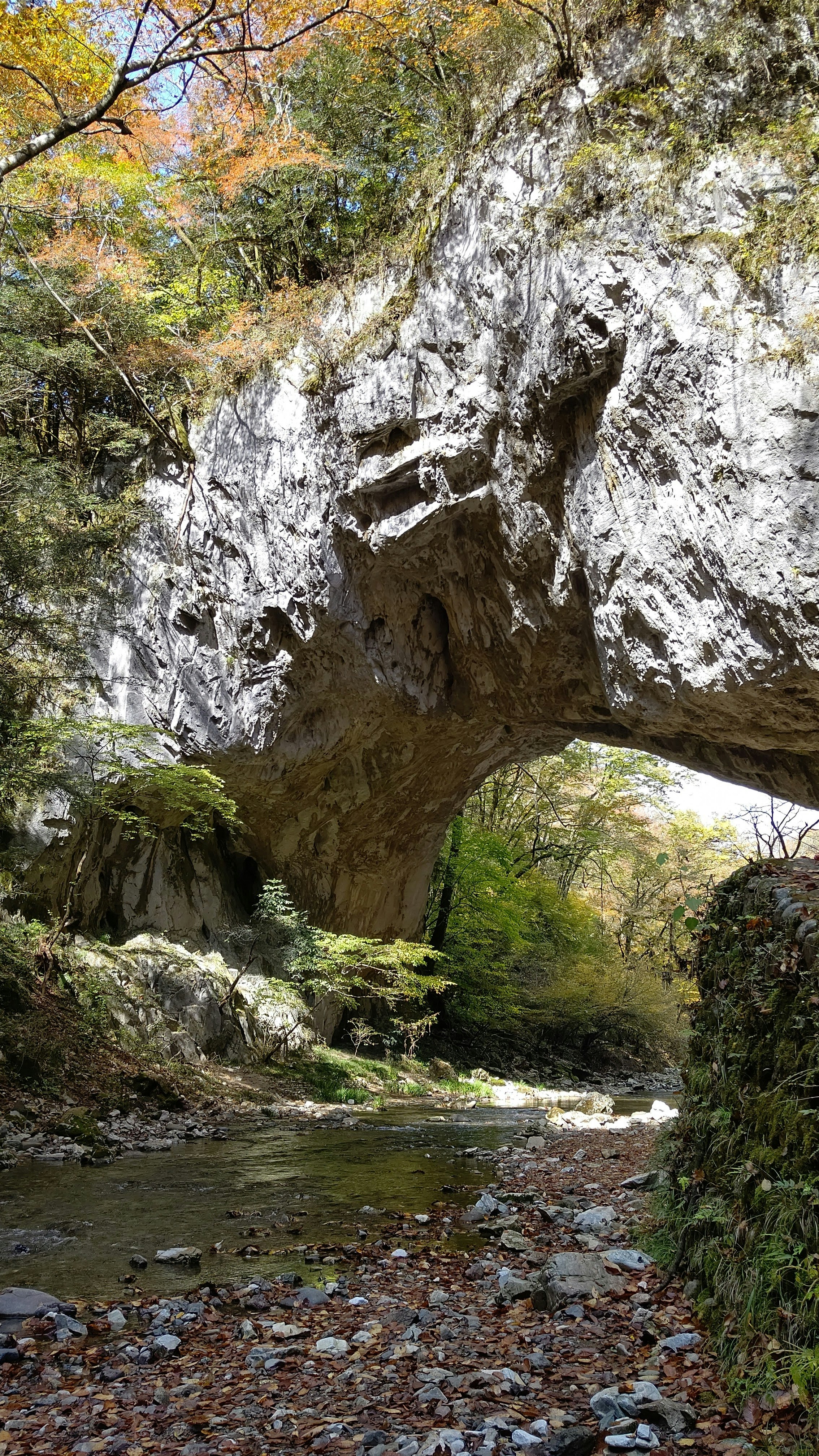 帝釈峡の岩壁と渓流に架かる自然の洞門