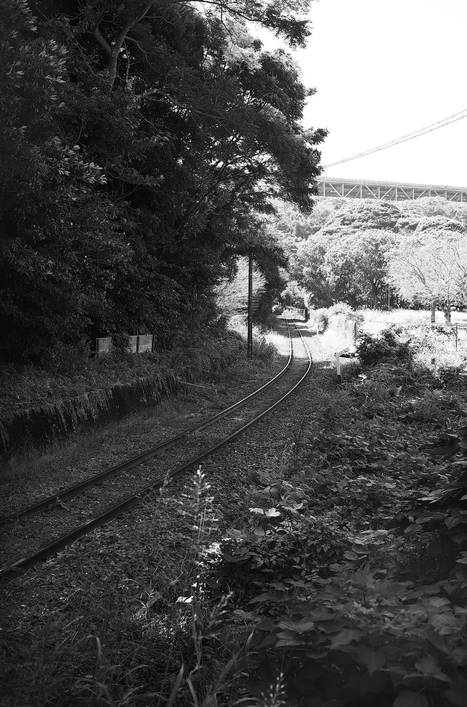 Black and white railway tracks winding through a lush landscape