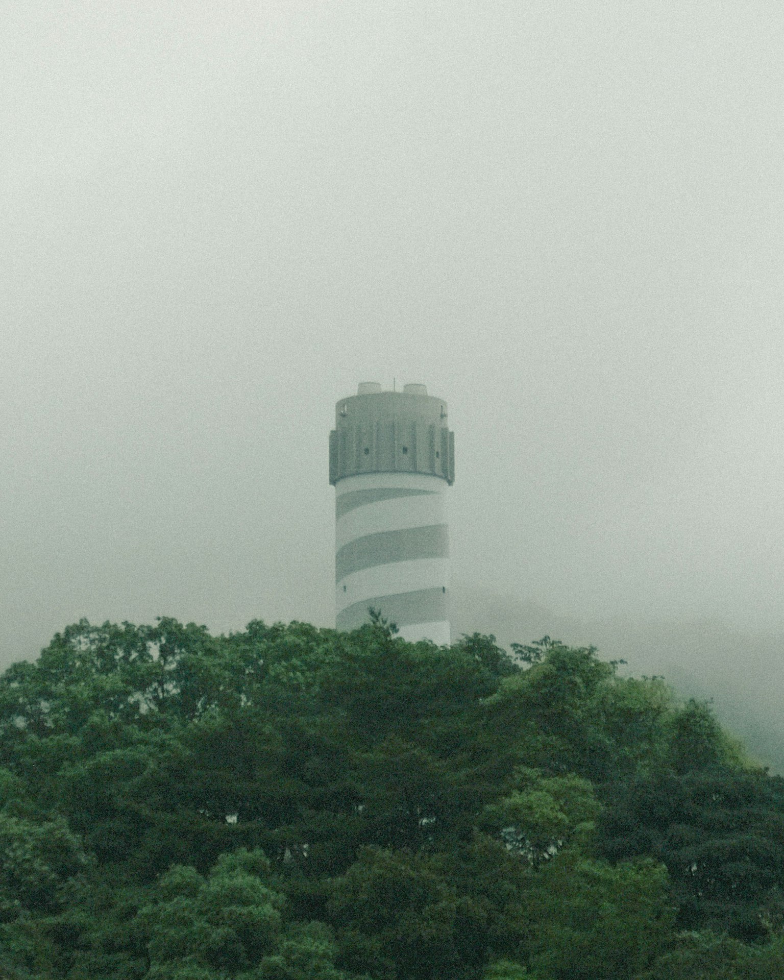 Tower shrouded in mist with lush green trees