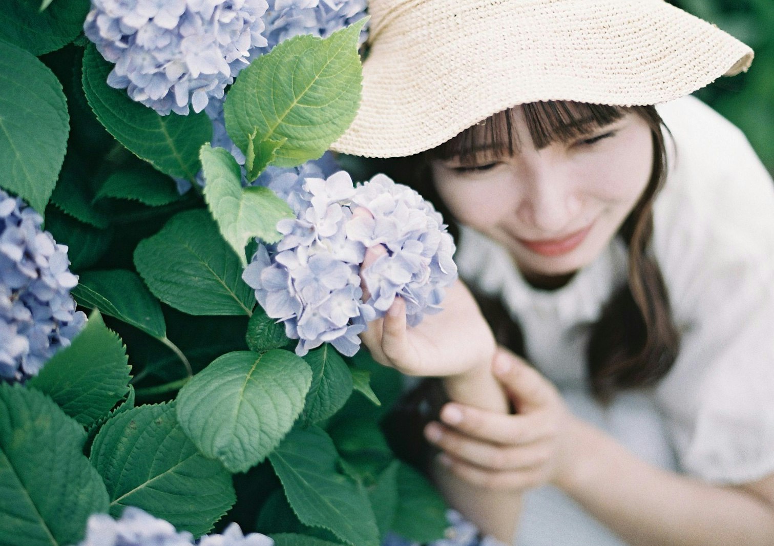 紫陽花の花に囲まれた帽子の女性