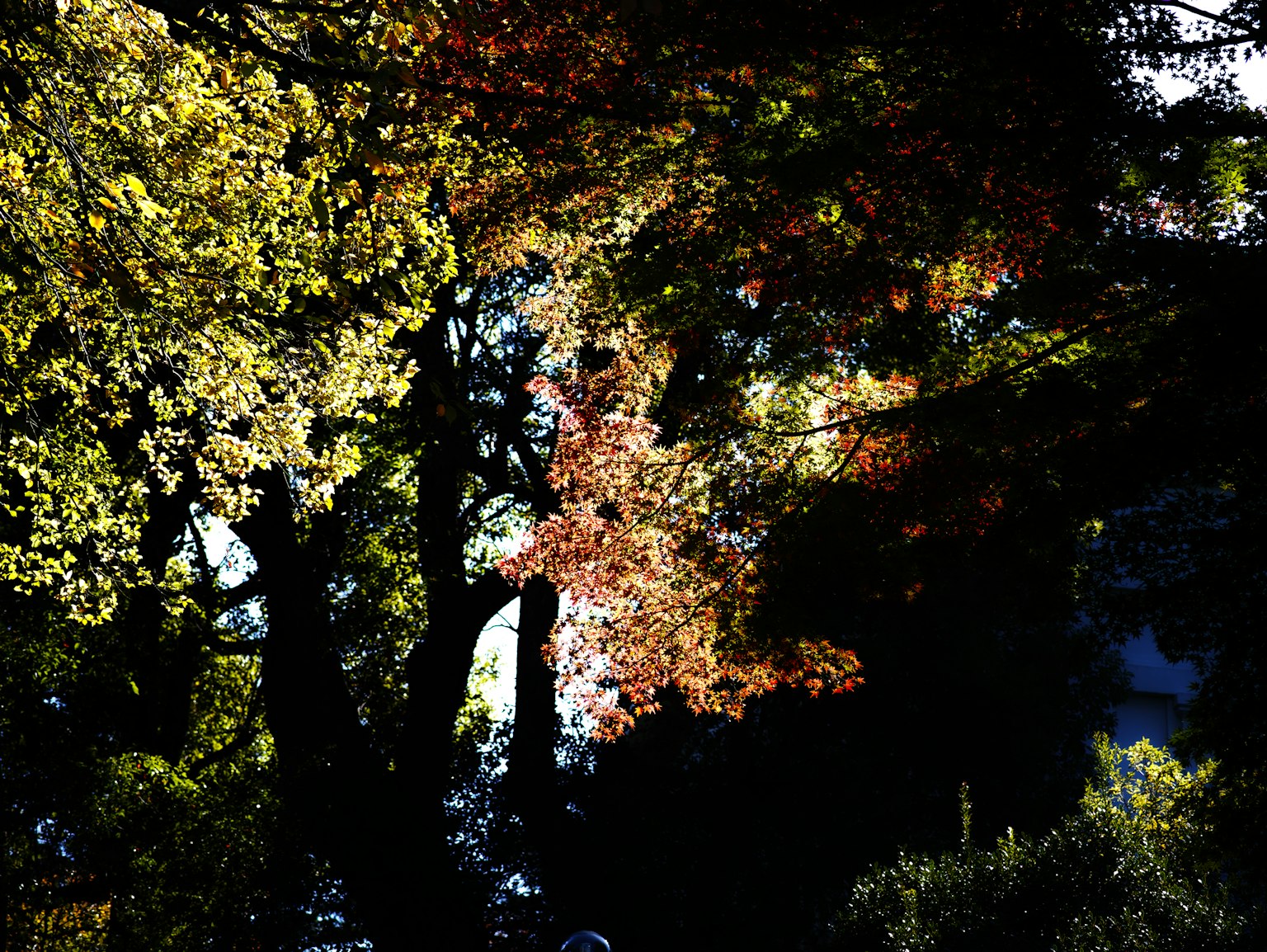photo-P5EY193EUjKpe5aZdWDz-image