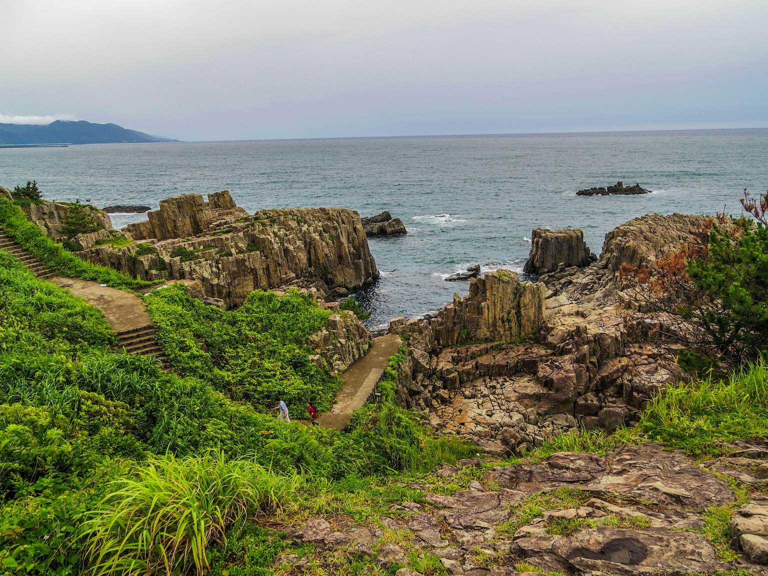 Côte rocheuse avec végétation verte et chemin