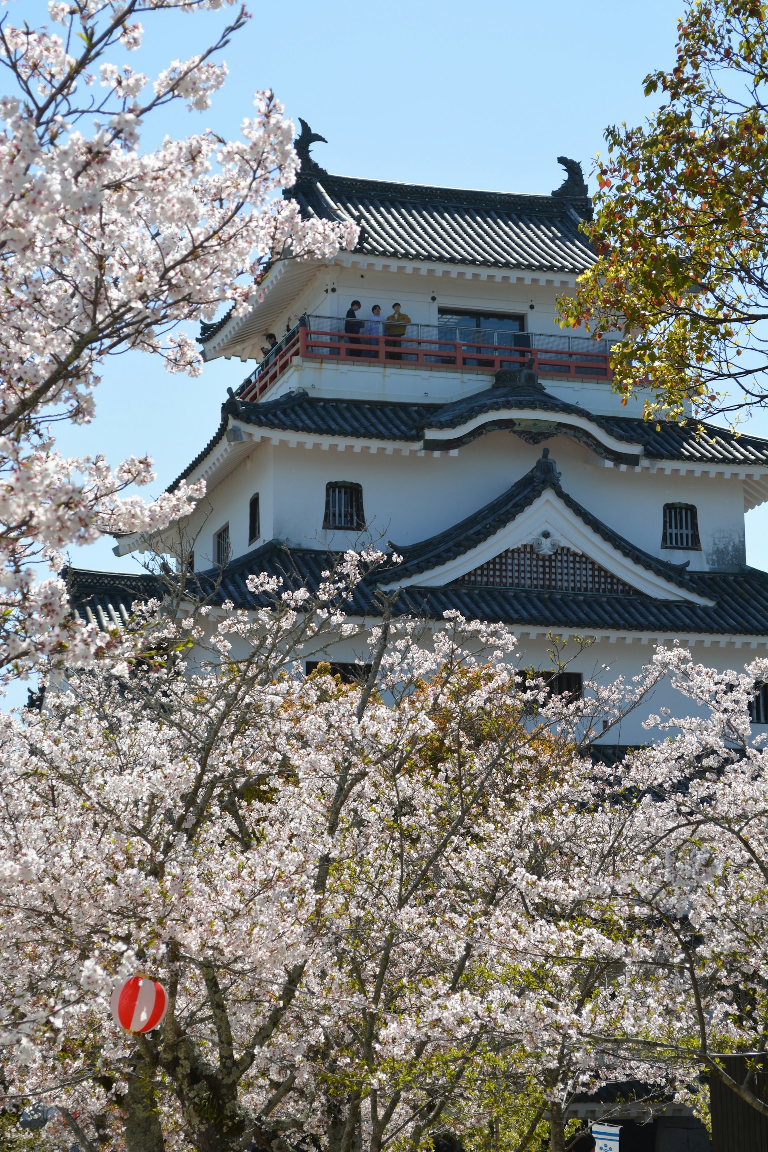 Beautiful castle surrounded by cherry blossoms