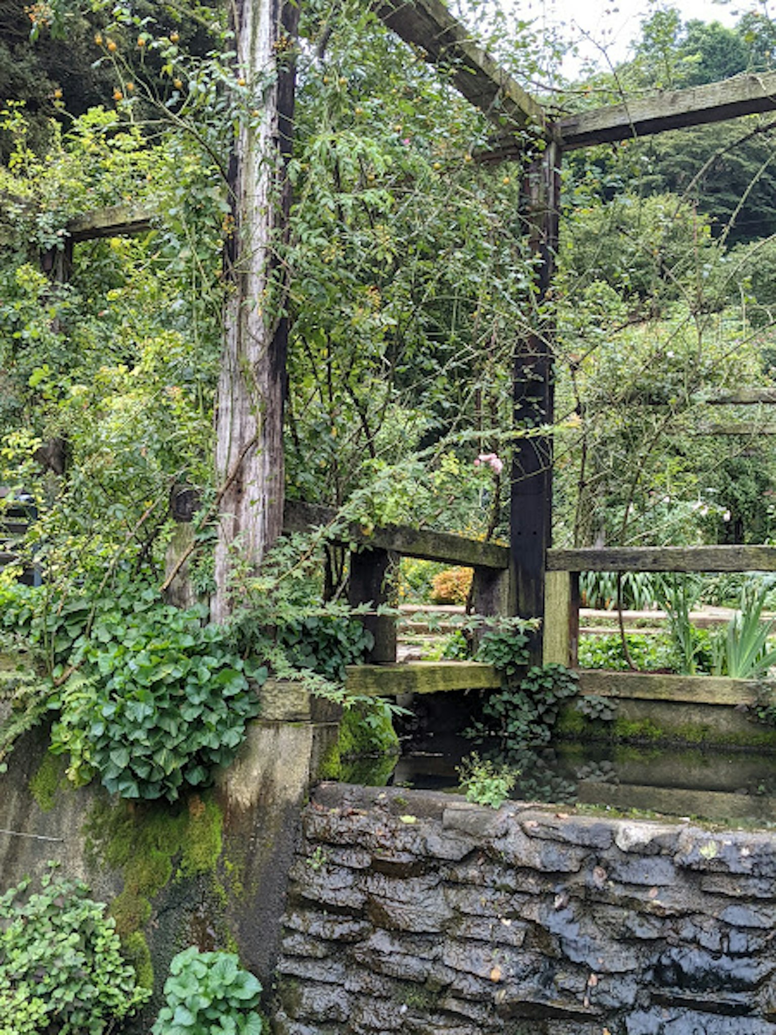 Un paesaggio caratterizzato da una vecchia struttura in legno coperta di vegetazione e un muro di pietra