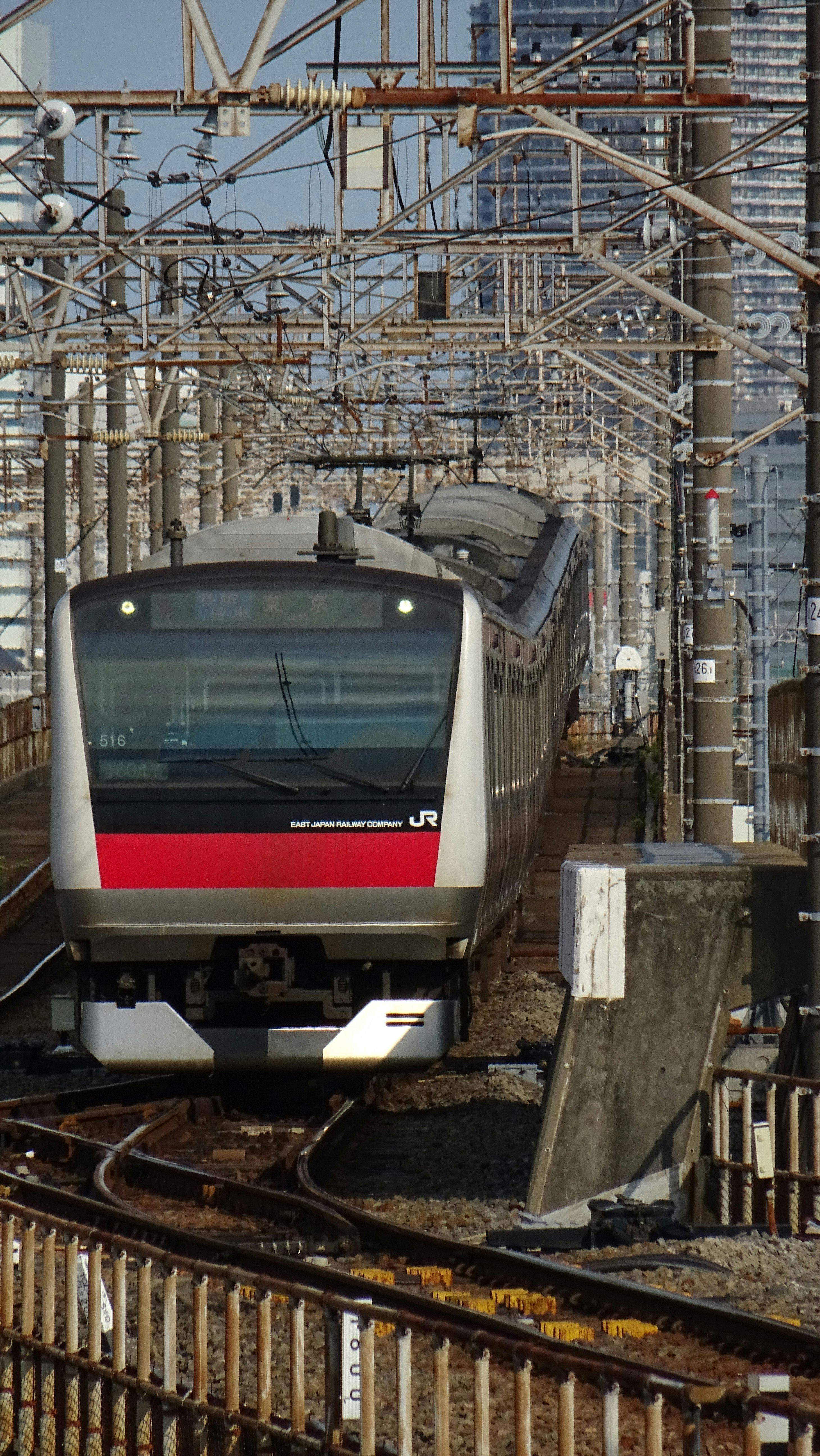 photo-P6XM4b2Y0aOC4FaEe2jf-image