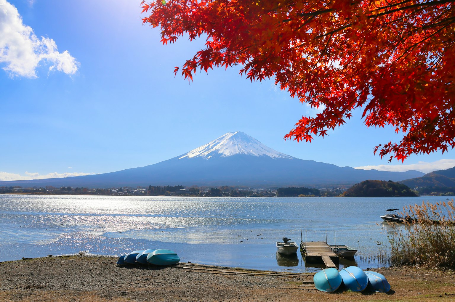 Vista panoramica del Monte Fuji con foglie autunnali e un lago