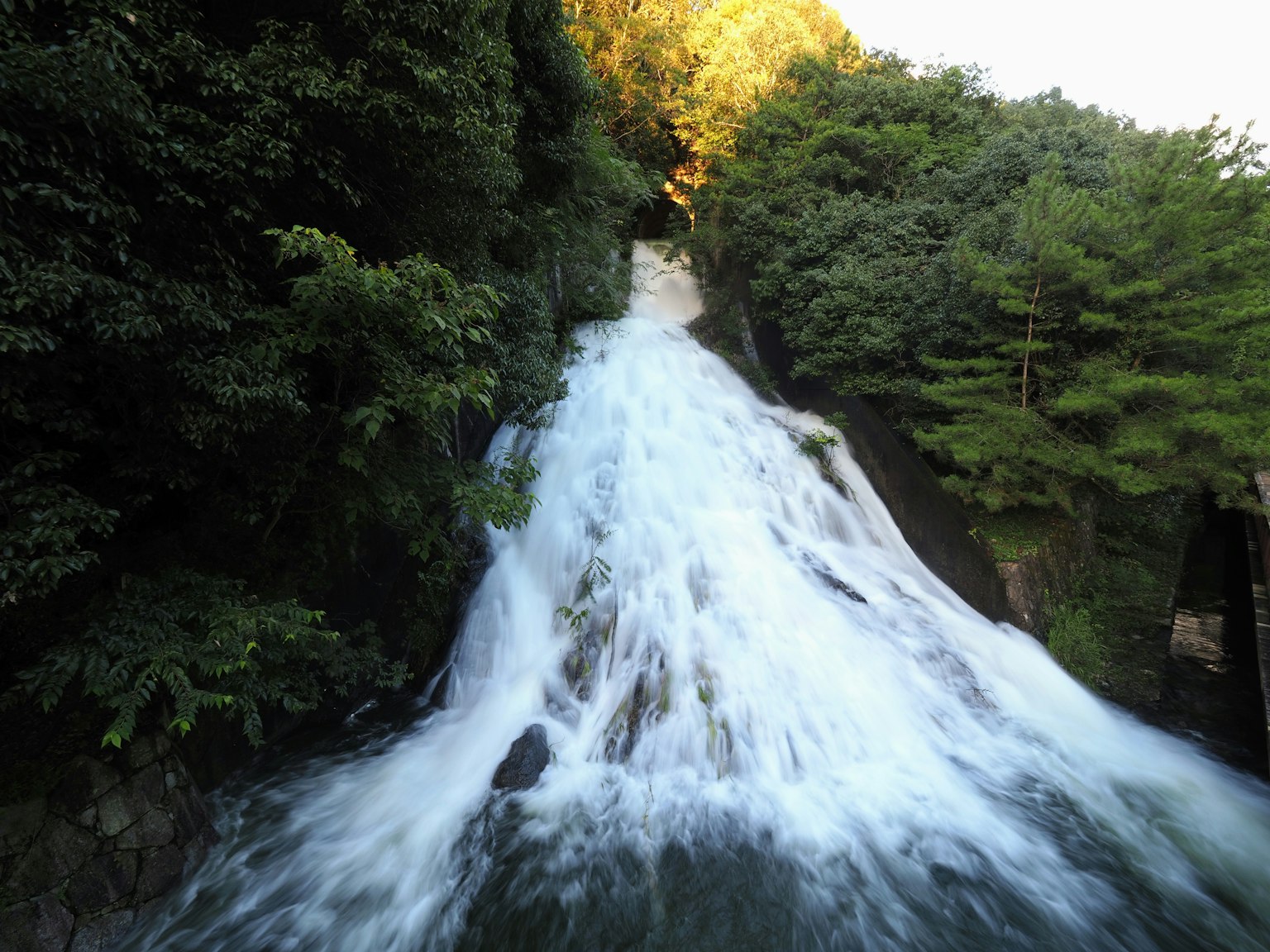 A beautiful waterfall cascading through a lush green forest with surrounding trees