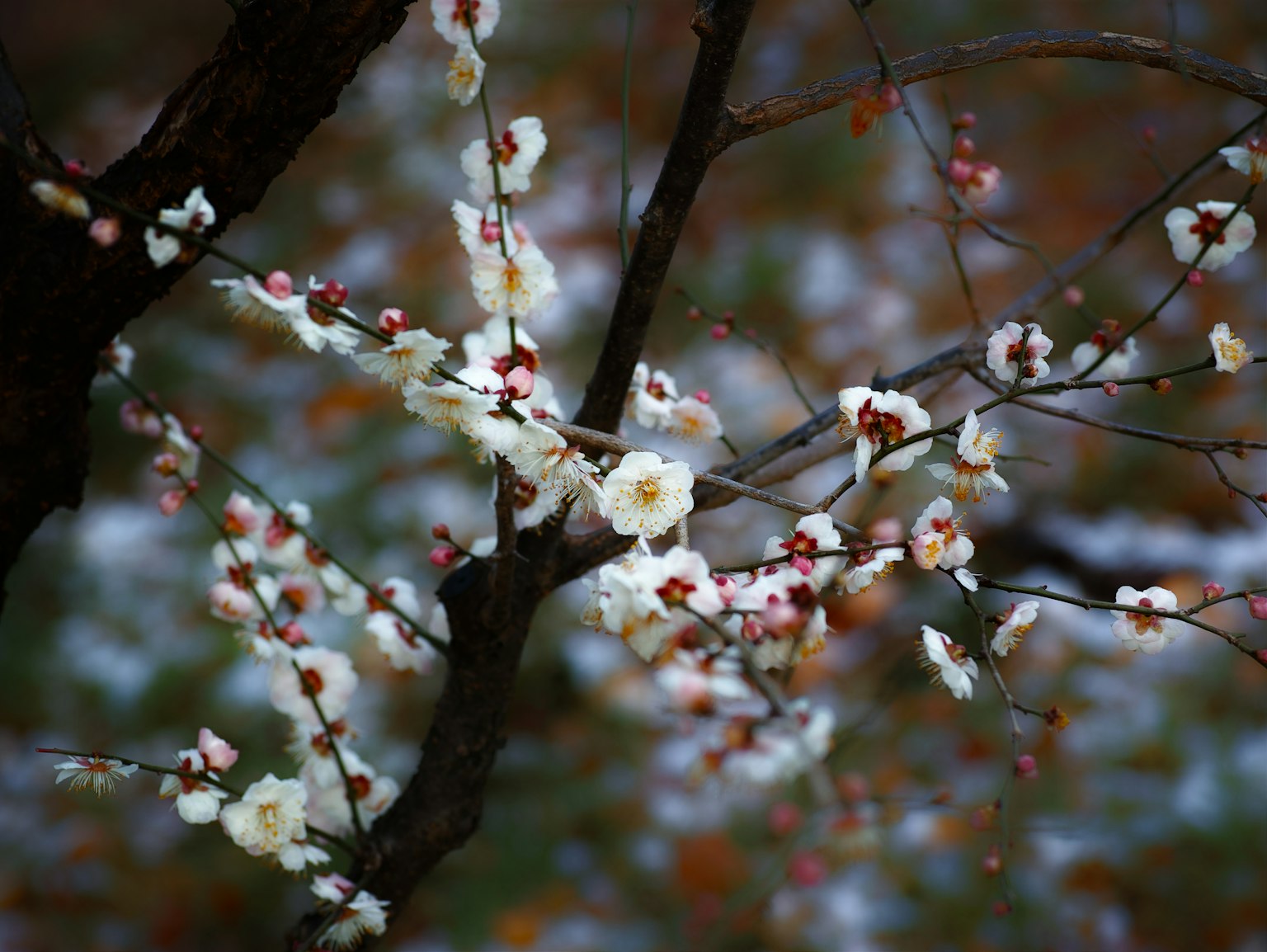 photo-P7RTlkcaRvBls7q571W4-image