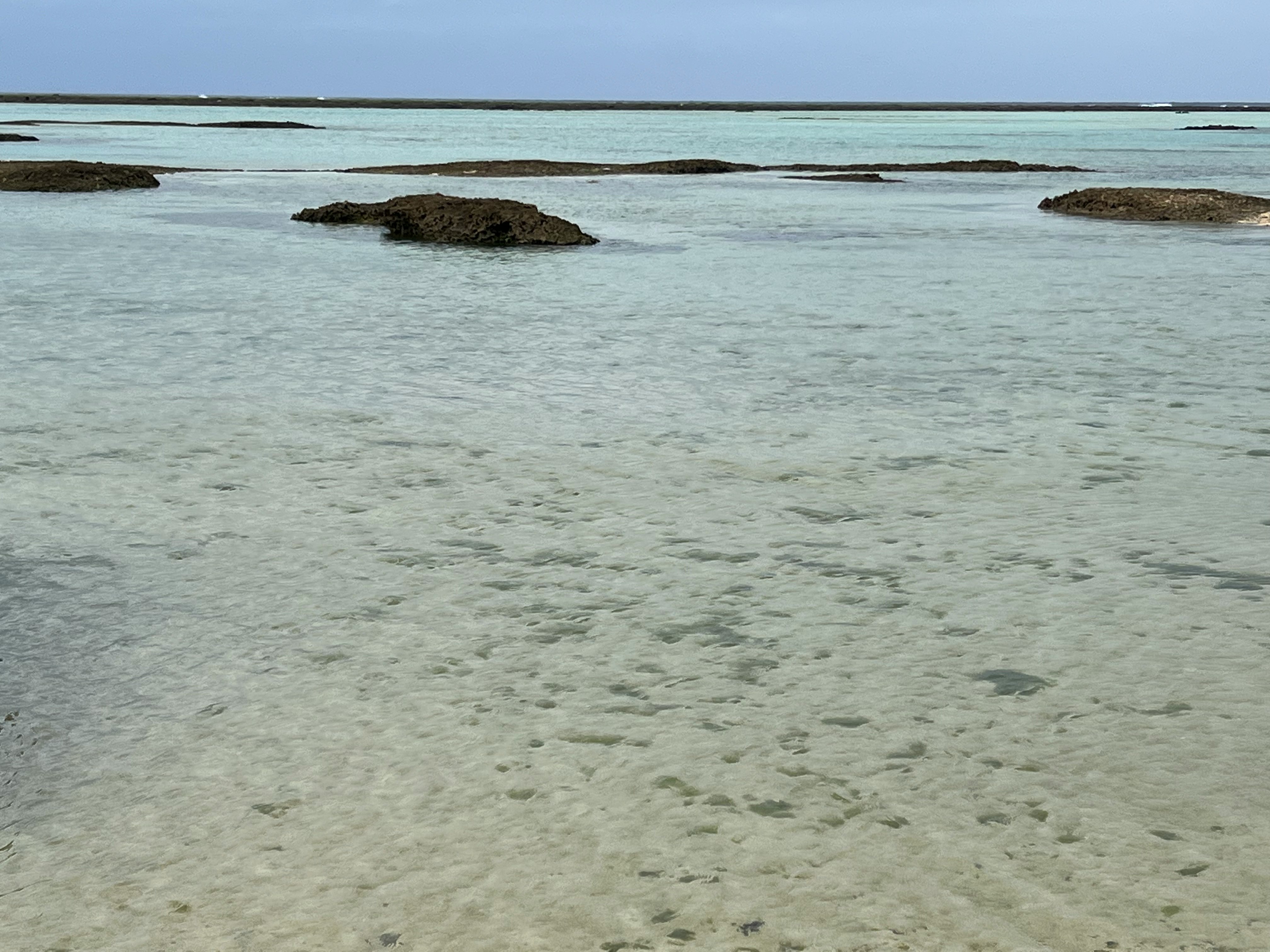干潟に広がる穏やかな海の水面
