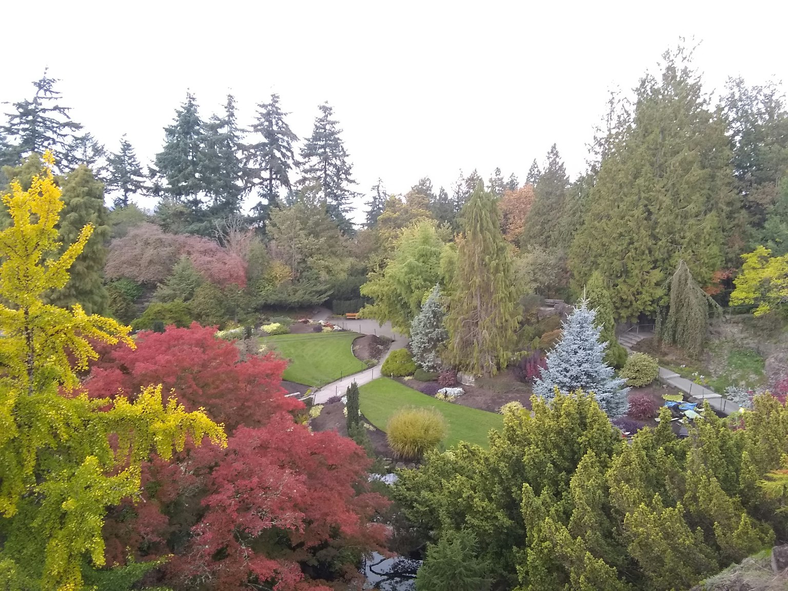 Une vue de jardin pittoresque avec des arbres vibrants et des sentiers