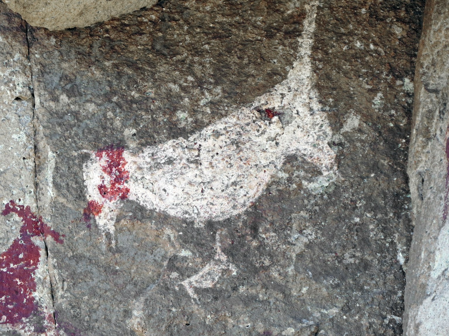 Peinture rupestre ancienne d'un oiseau blanc