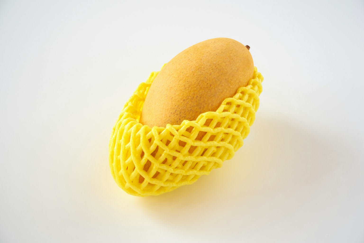 Mangga dibungkus jaring kuning