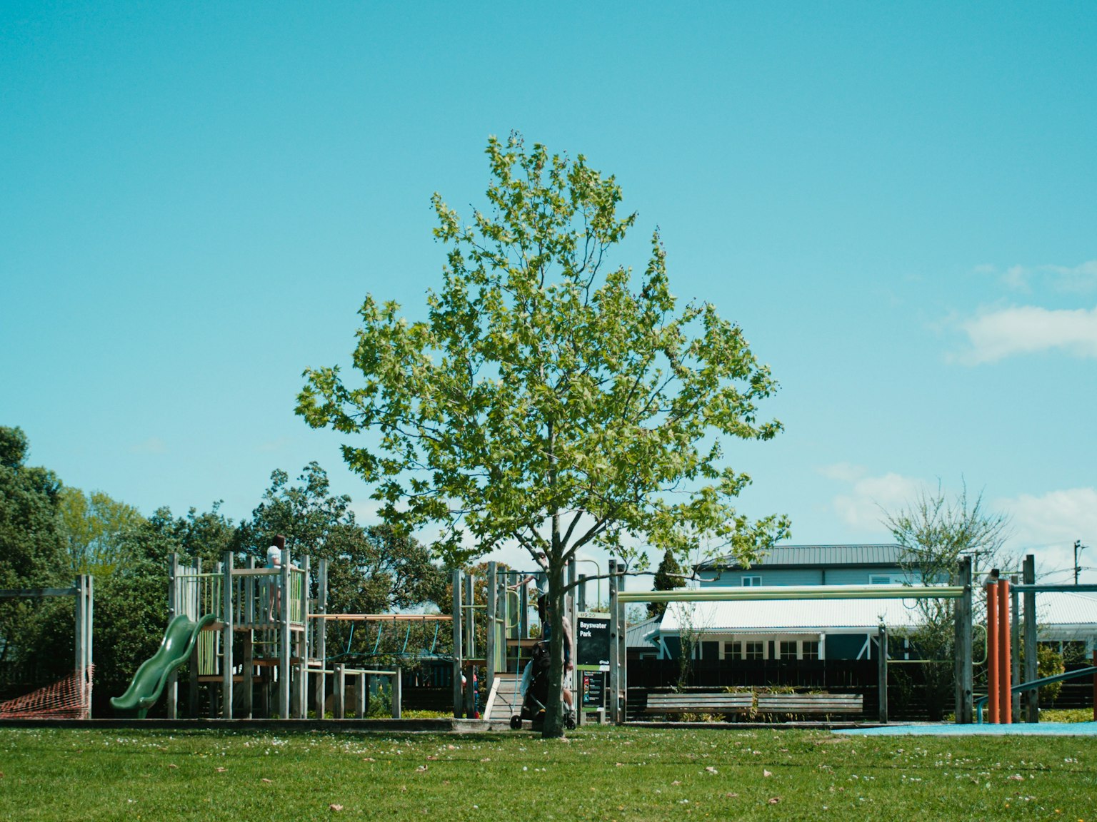 Équipement de jeu avec un arbre vert sous un ciel bleu