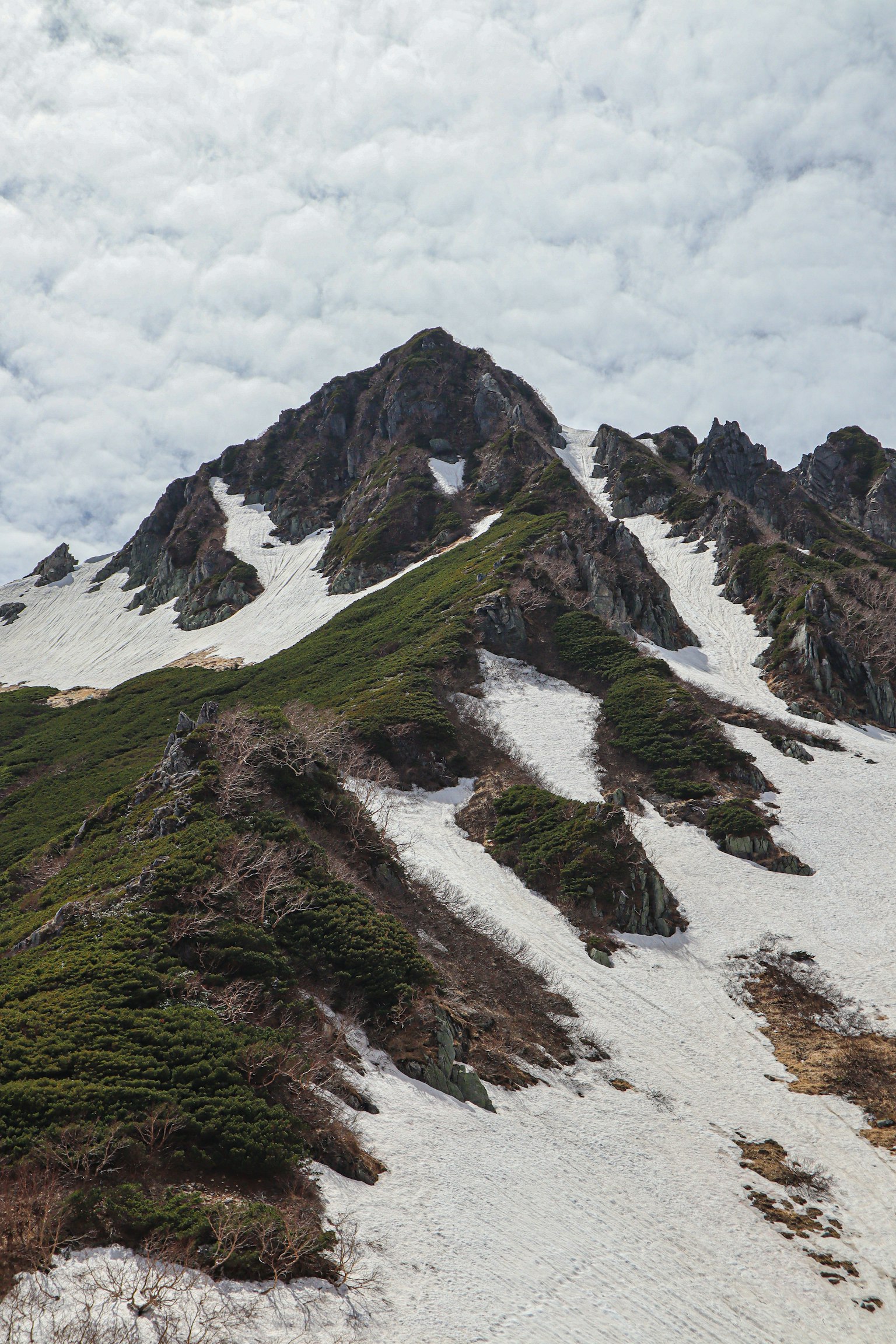 雪覆盖的山坡和绿色植被的山地风景