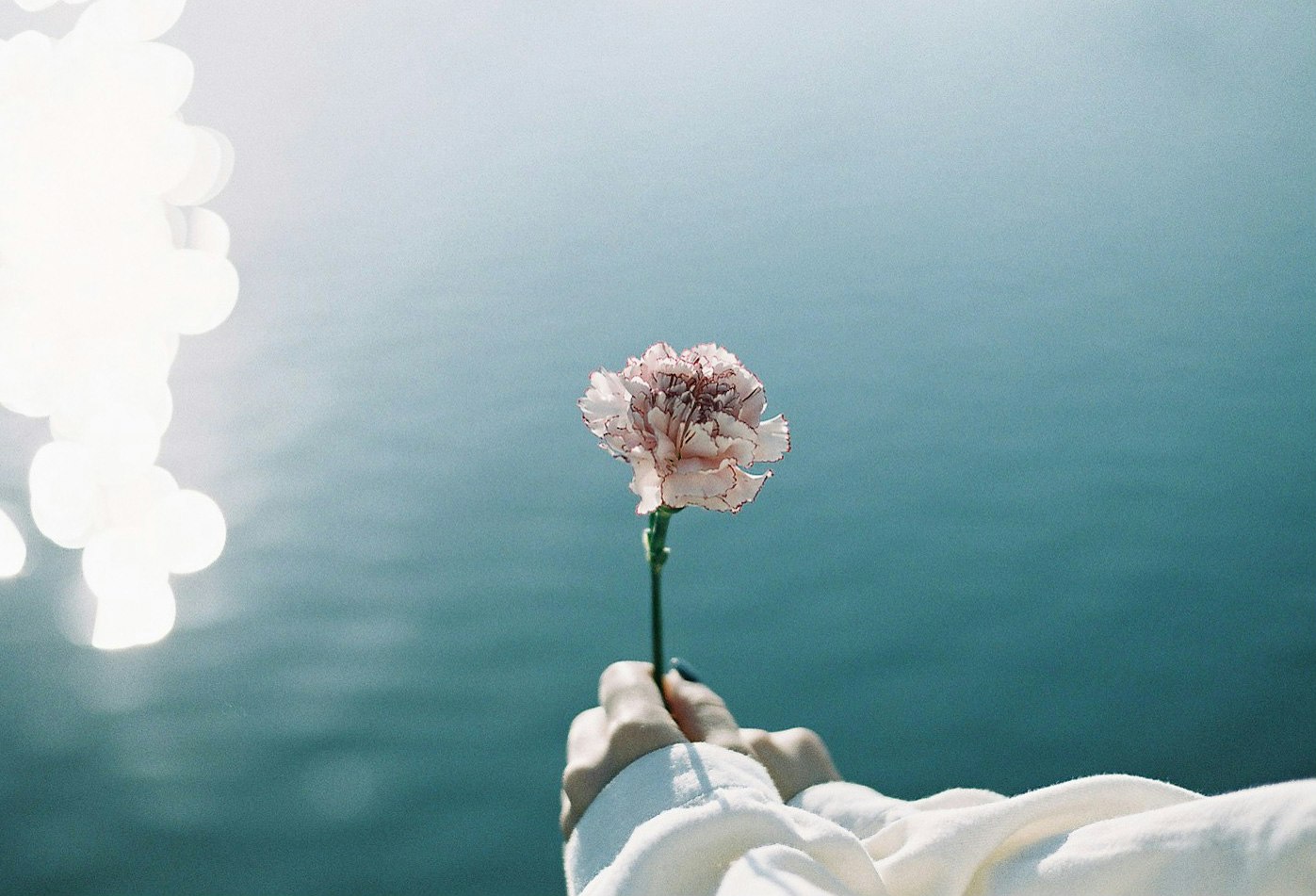 une personne tenant une fleur face à la mer