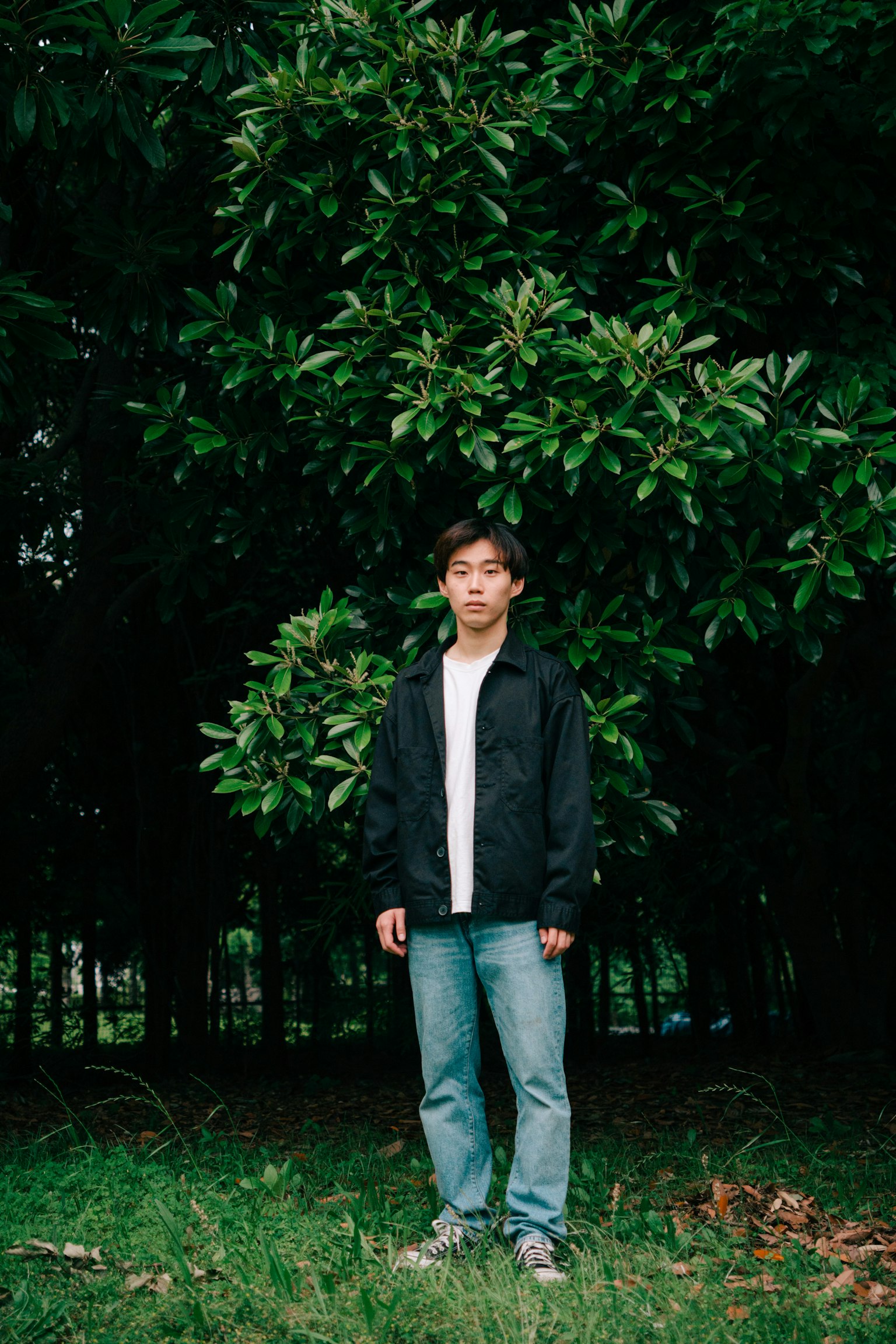 Photo en pied d'un homme debout devant un arbre vert
