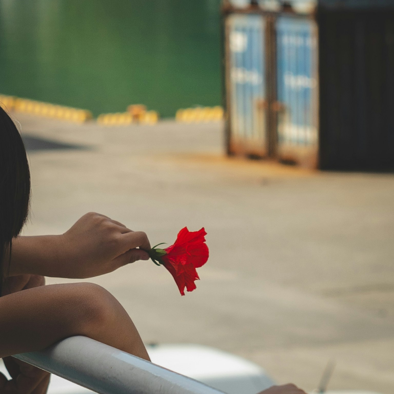 A woman holding a red flower with a harbor background