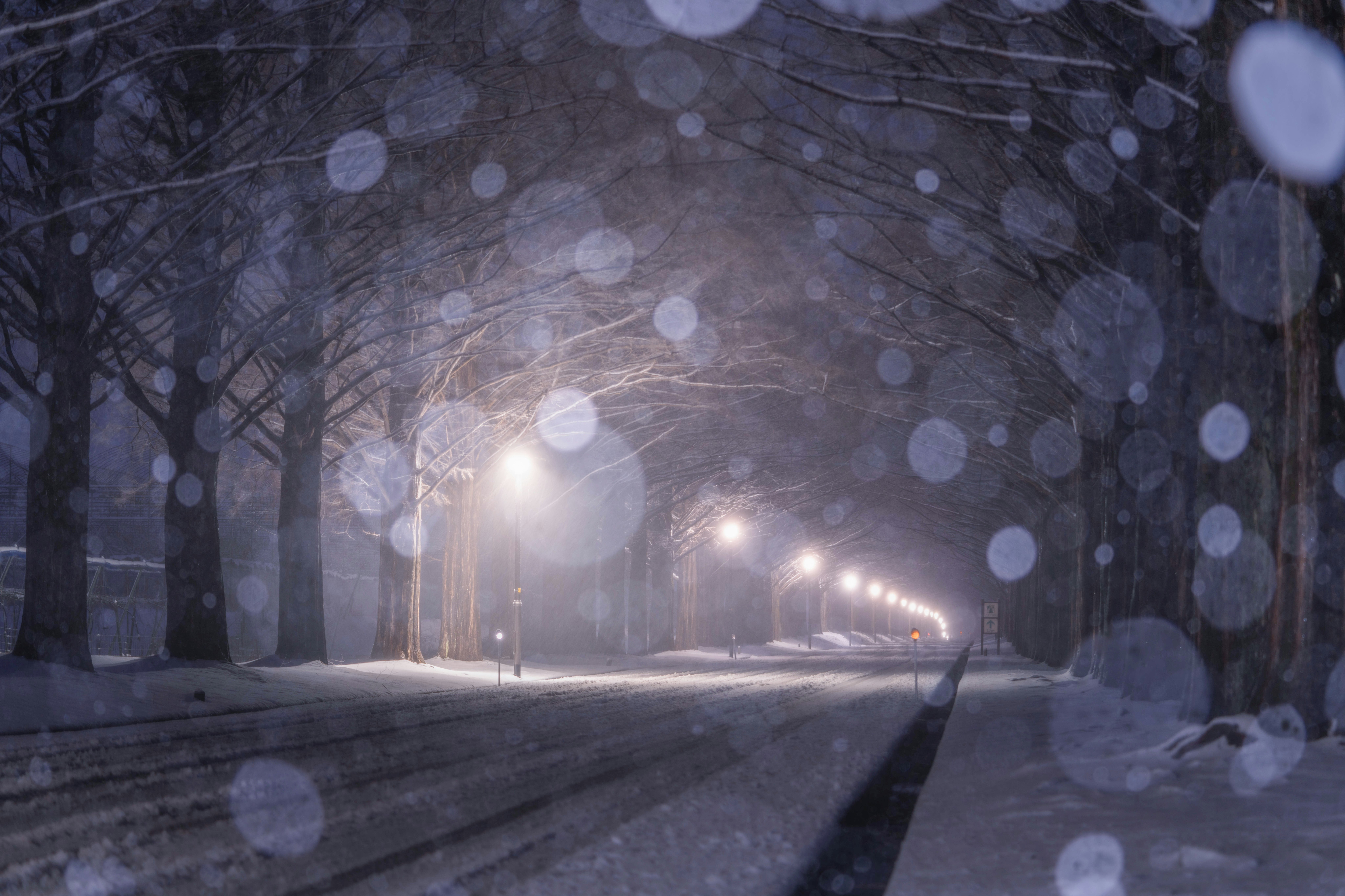 雪花玉化散景的林荫大道夜景